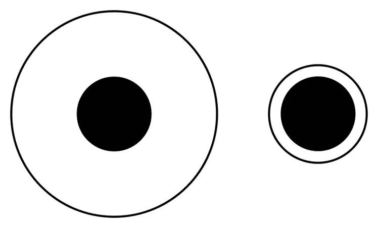 The-Delboeuf-illusion-Why-expanding-dinner-plates-are-expanding-our-waistlines.jpg