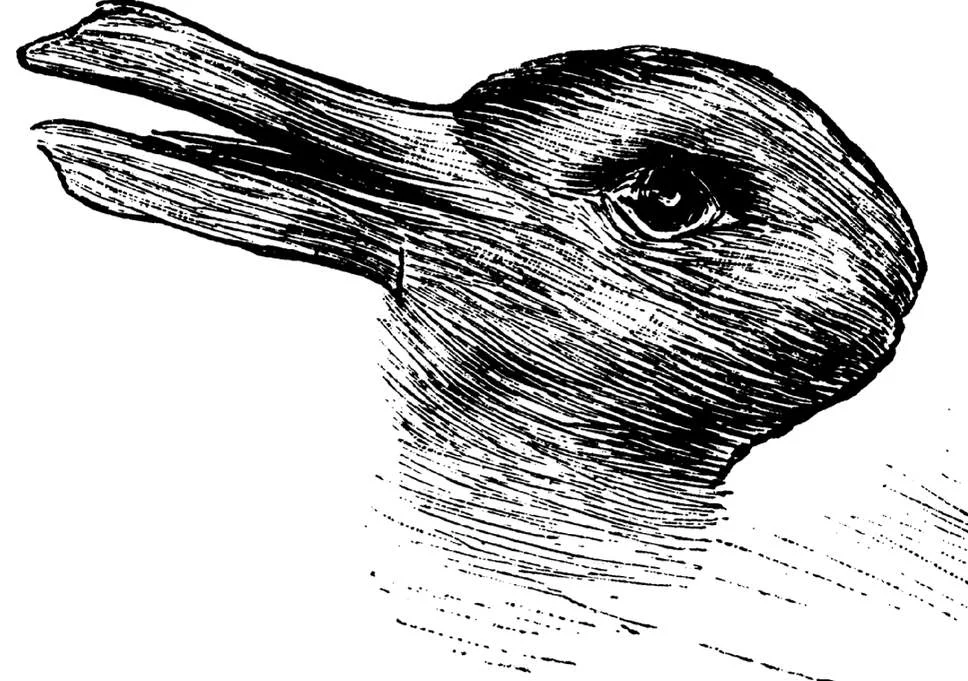 duck rabbit illusion