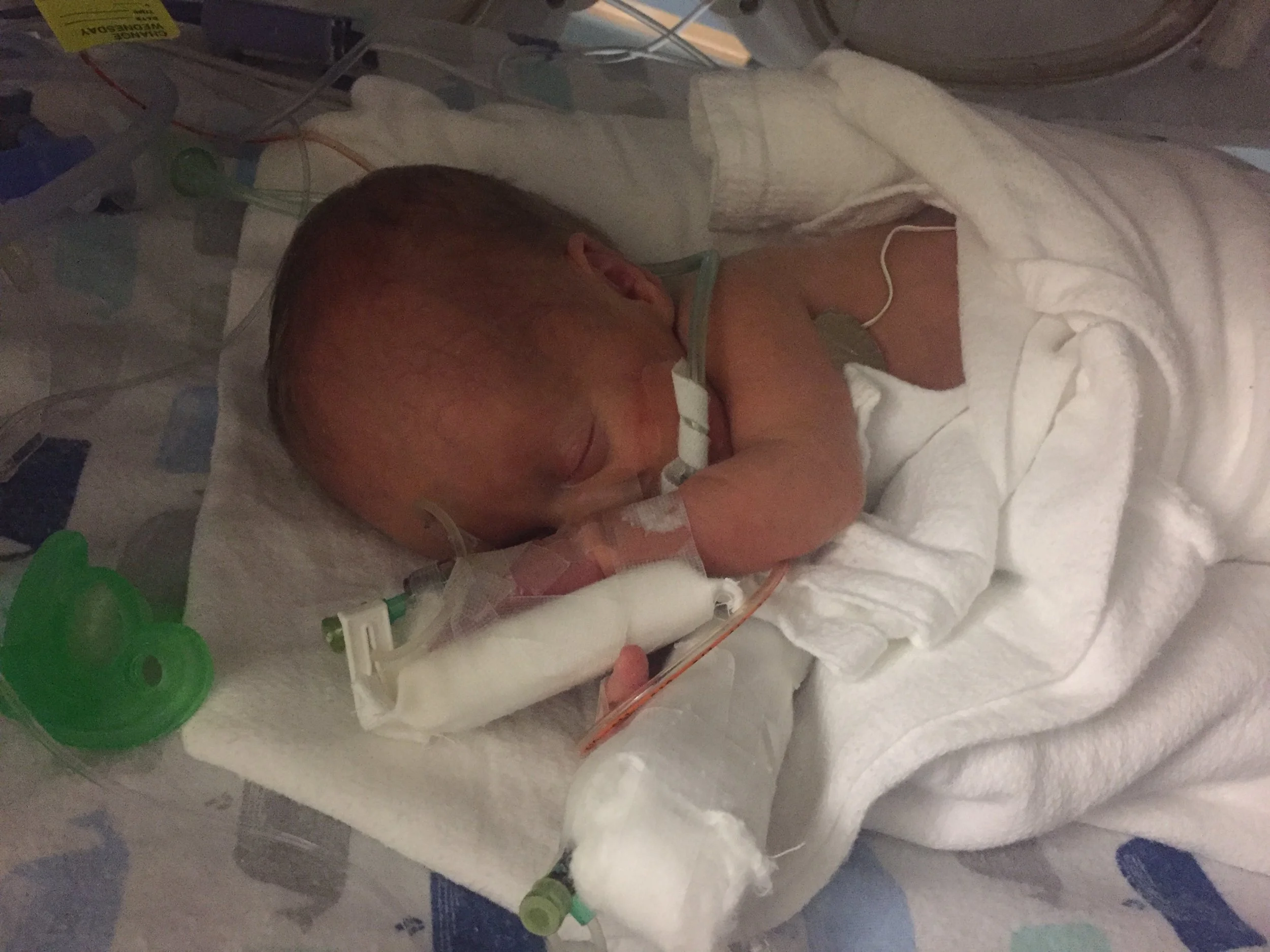 Day 56 – Tuesday, September 12, 2017