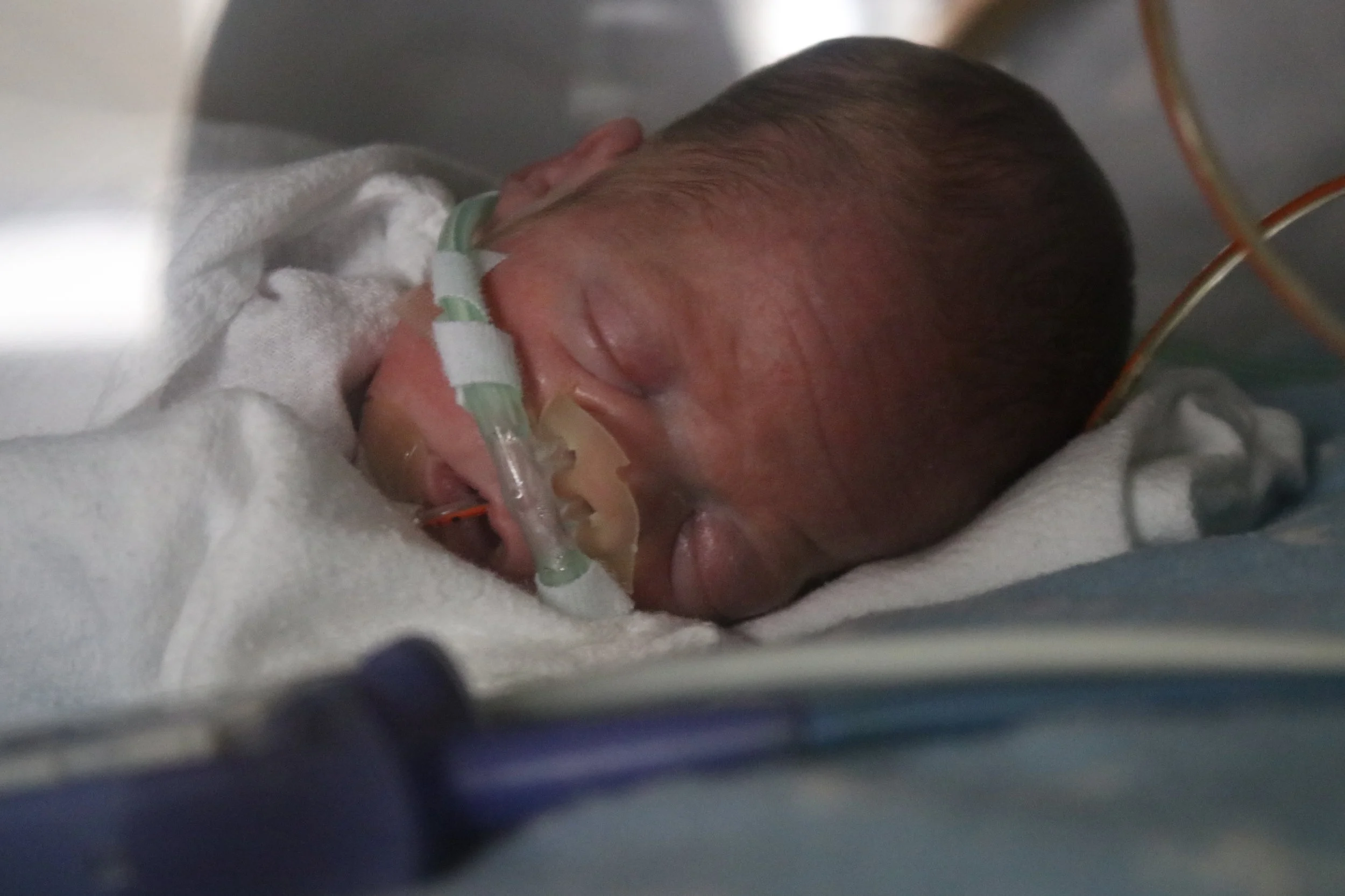 Day 49 - Lex is 3 lbs