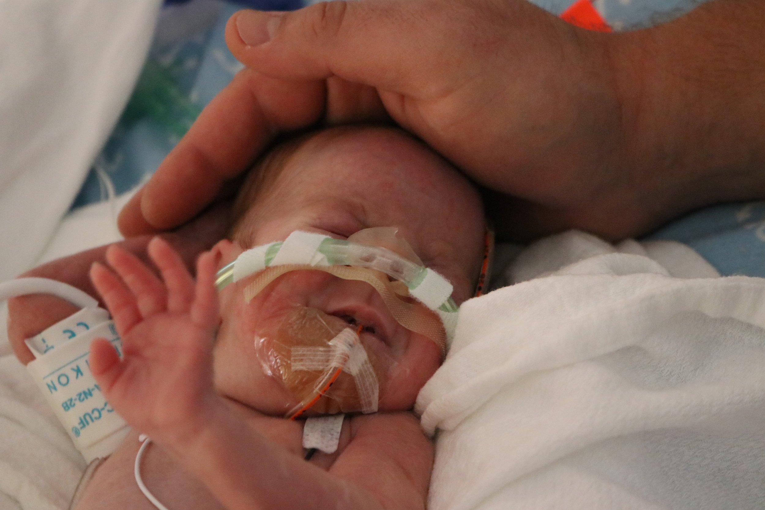 Day 50 - New Tube Gear