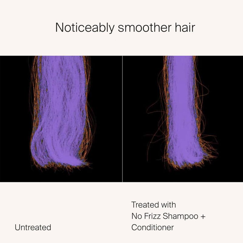INF_NoFrizzConditioner_ALT7_Proof.jpg