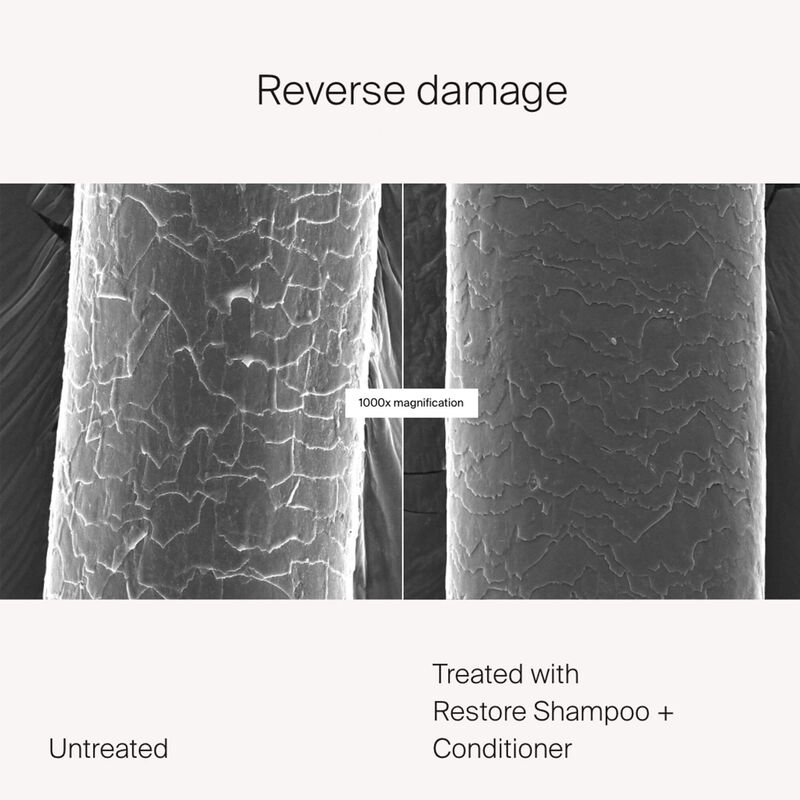 INF_RestoreShampoo_ALT7_Proof.jpg