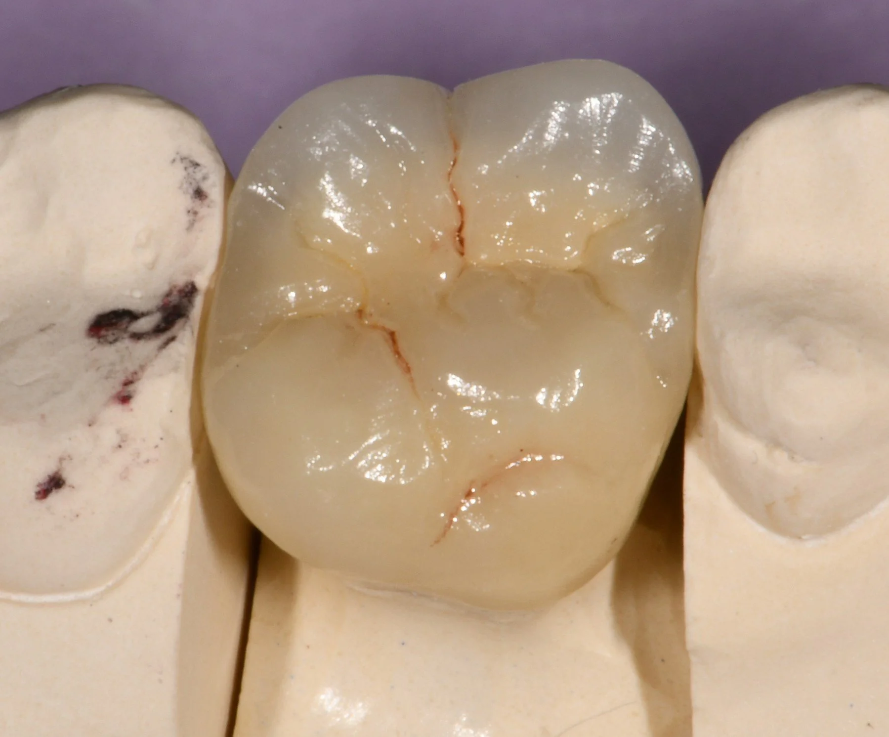 gonzales nestor 3-19-2026a.JPG