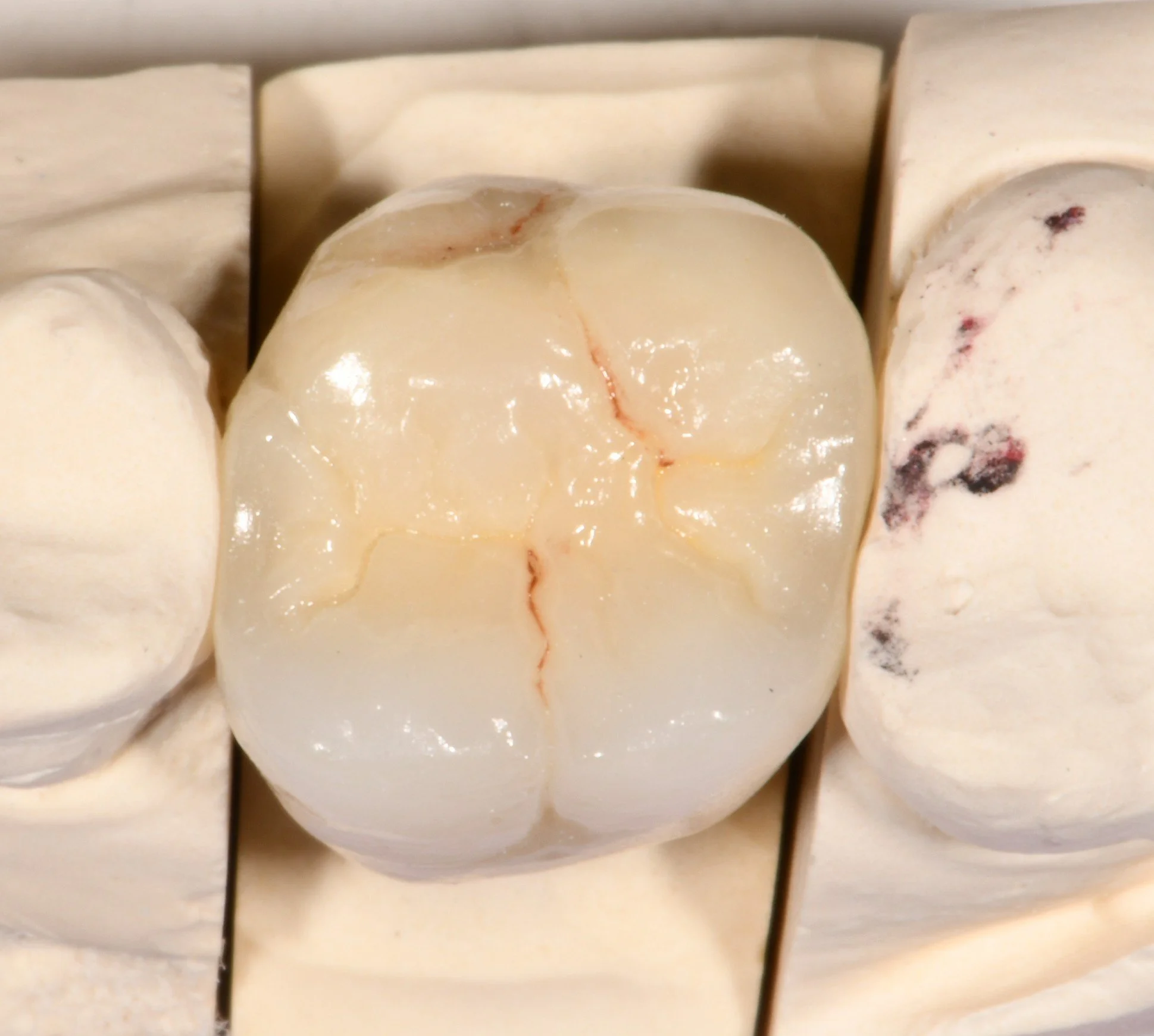 gonzales nestor 3-19-2026.JPG