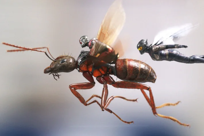 ANT MAN AND THE WASP: DON'T SWAT THESE INSECTS AWAY