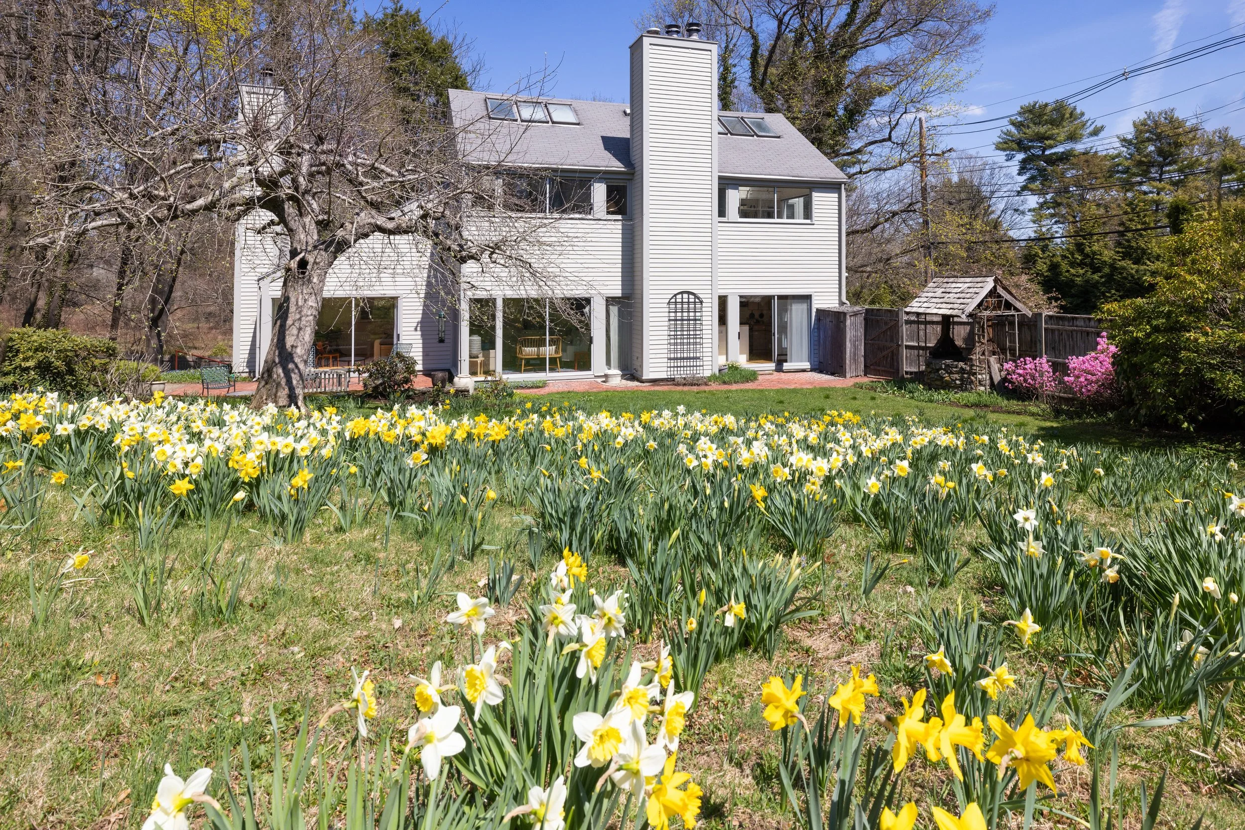 185 Warren_26 copy.jpeg