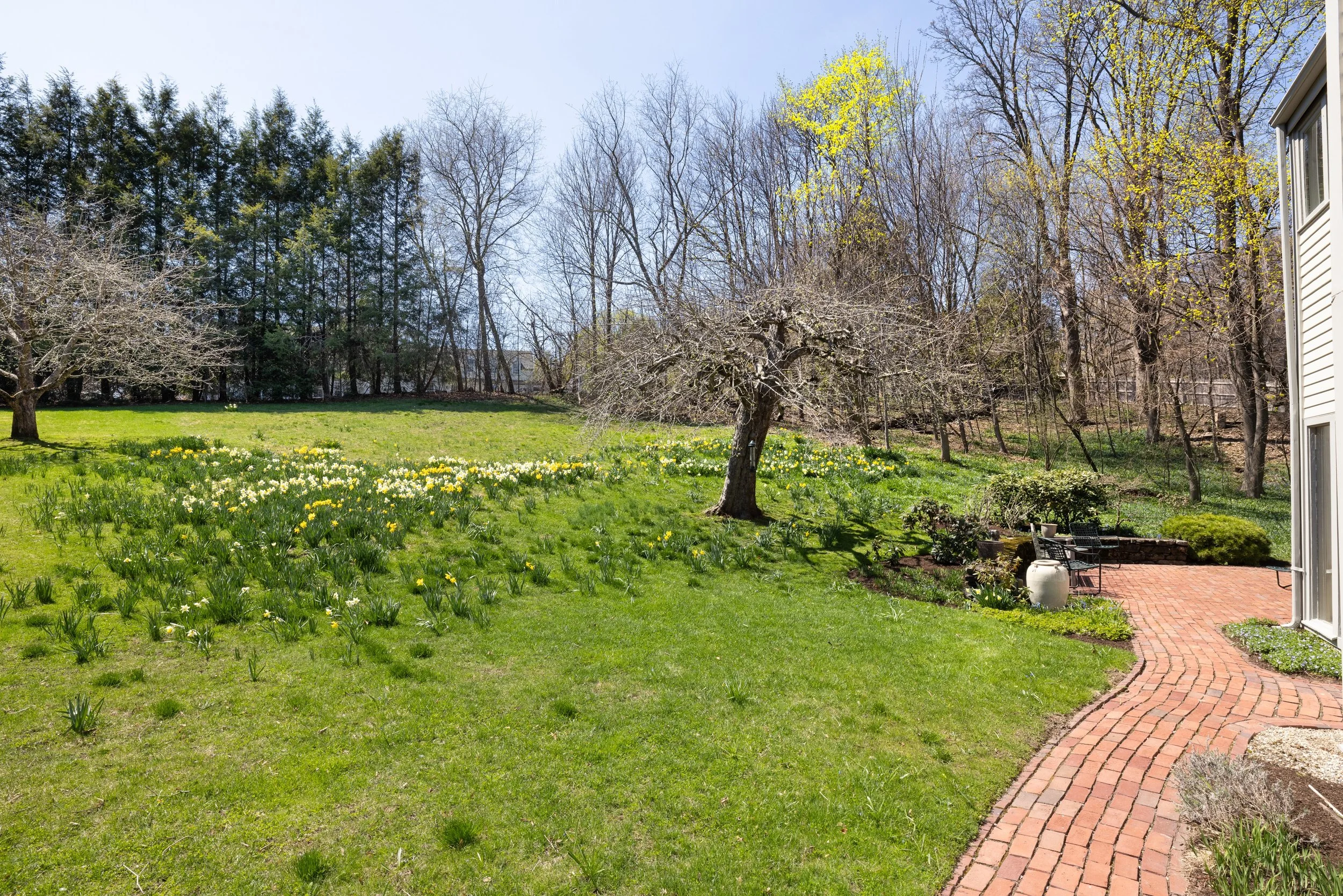 185 Warren_25 copy.jpeg