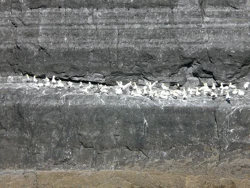 Qae-s[z]i-na ching-ching (SATB choir and percussion)