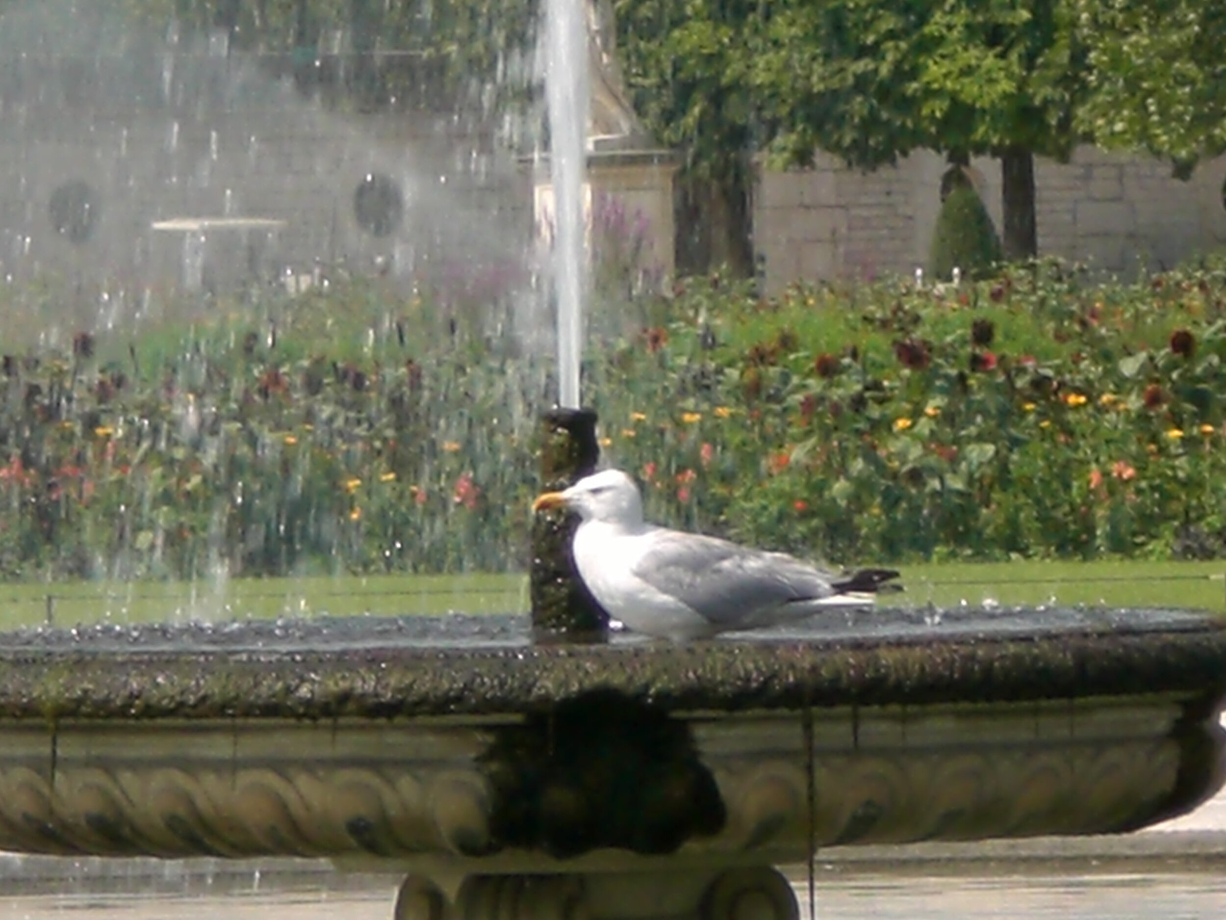 A Suite for Solo Piano