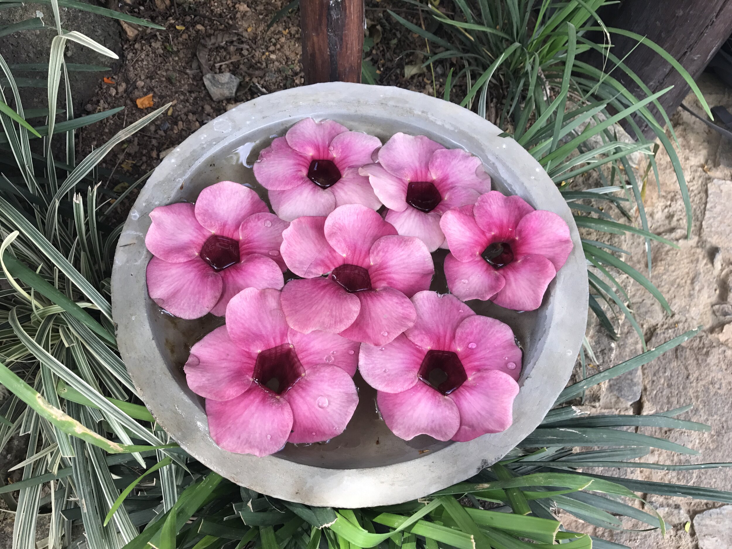 A-ri-a-rang (saxophone quartet)