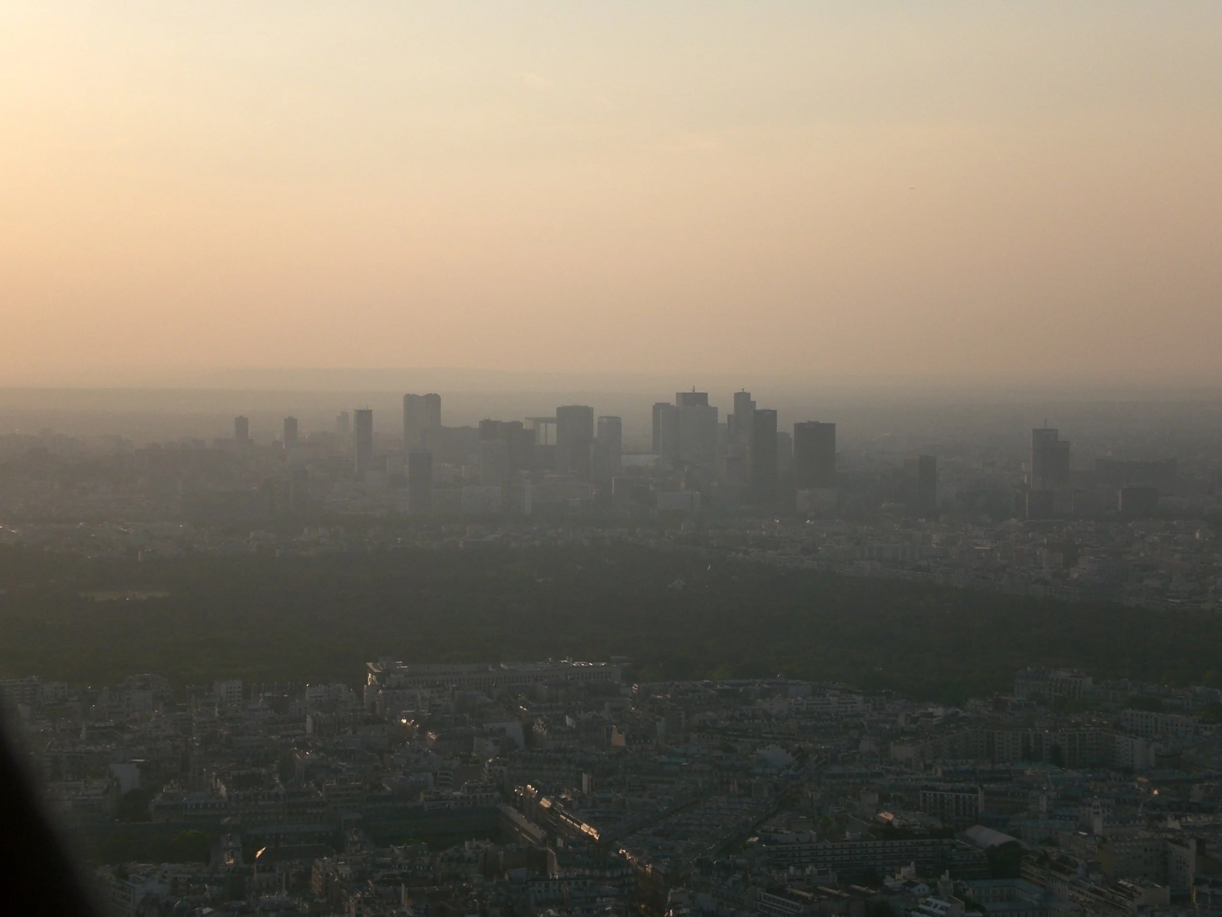 Distant Memories.JPG