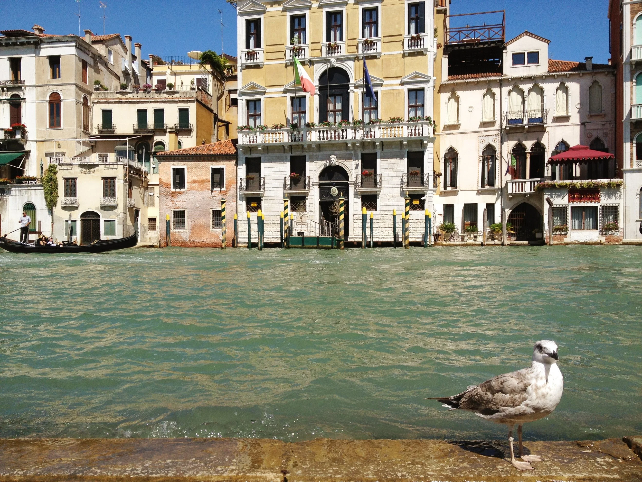 RUSTLE (contrabass flute and piano)