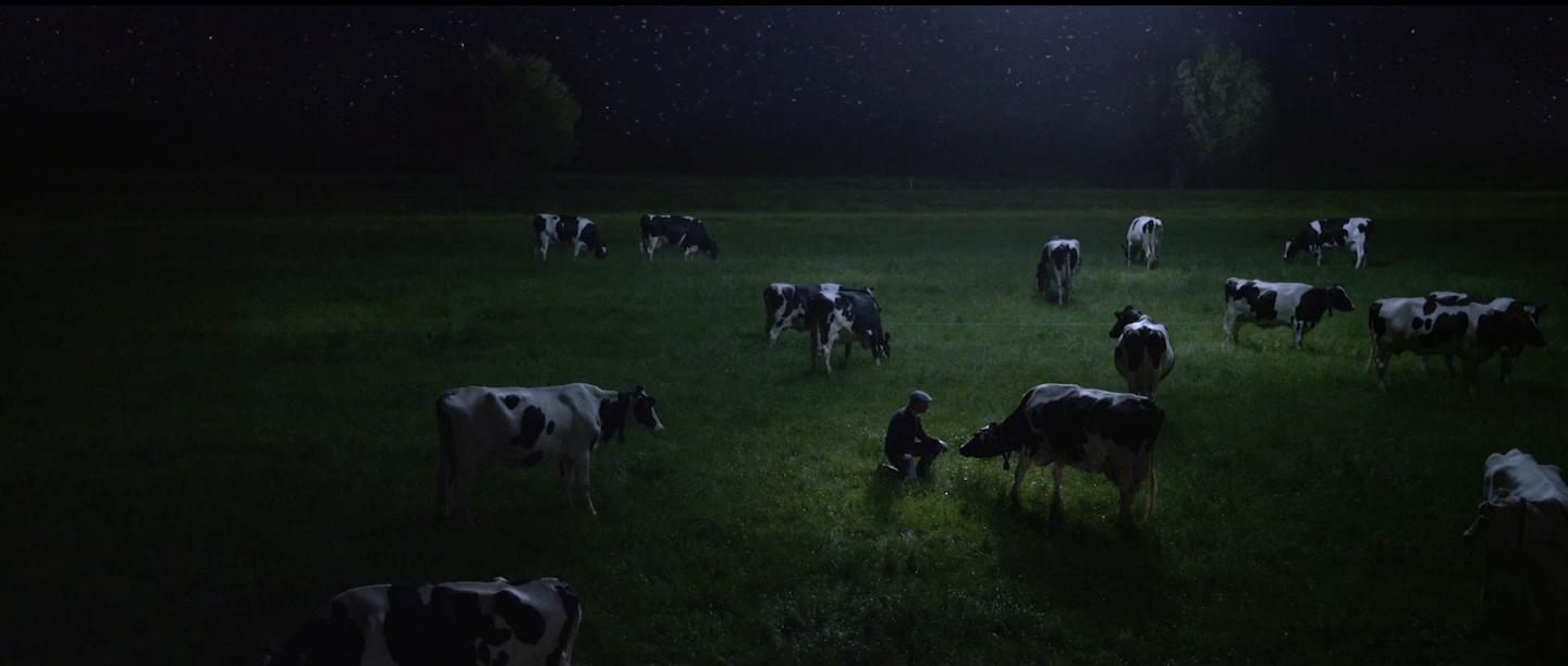 Story of Milk // hugo keijzer