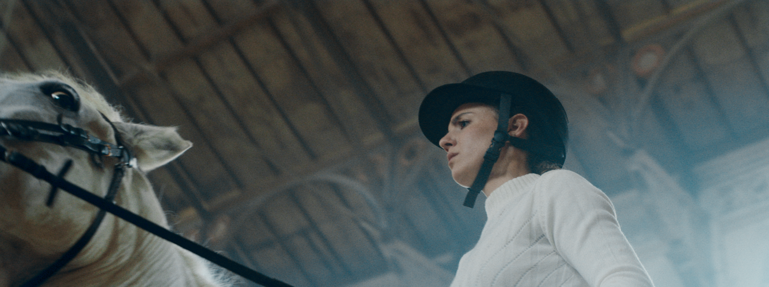 Screen Shot 2019-08-21 at 07.59.40.png