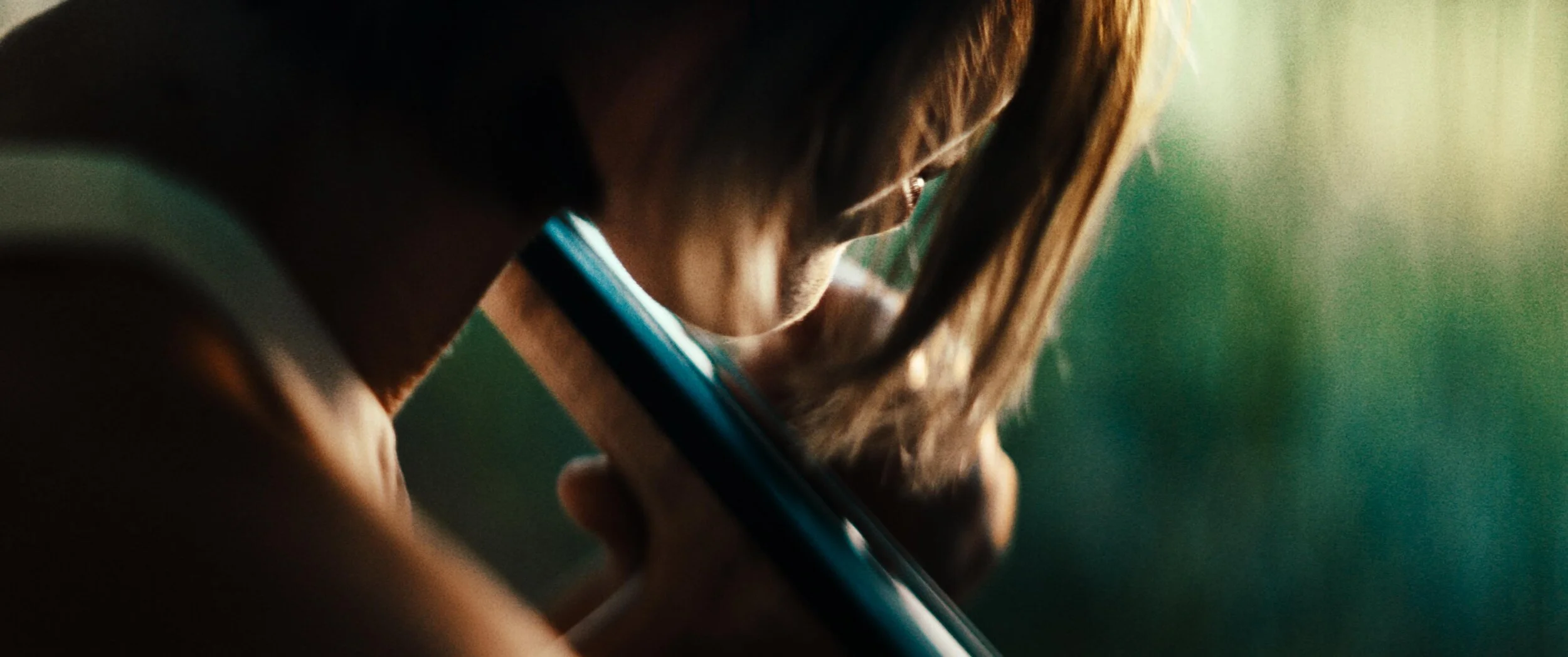 Gratitude // bram van alphen