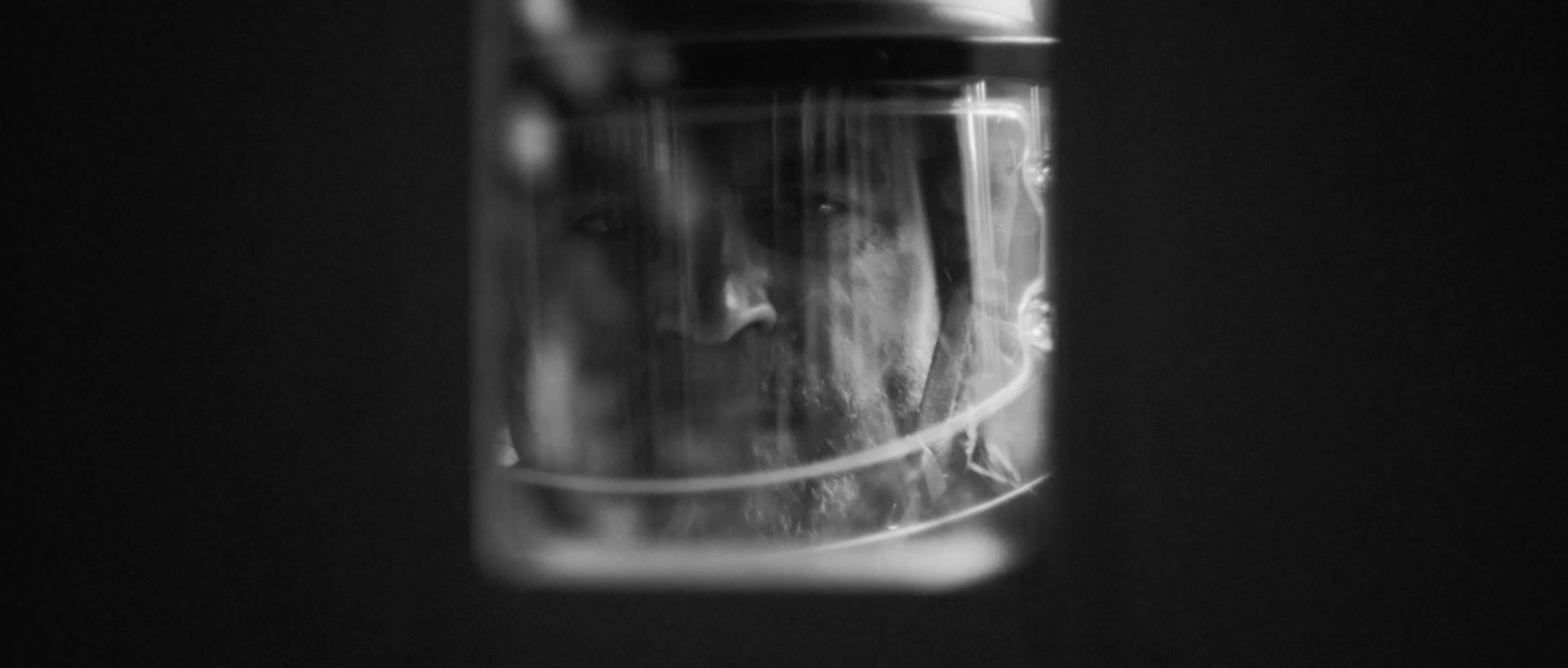 squatters // martin werner