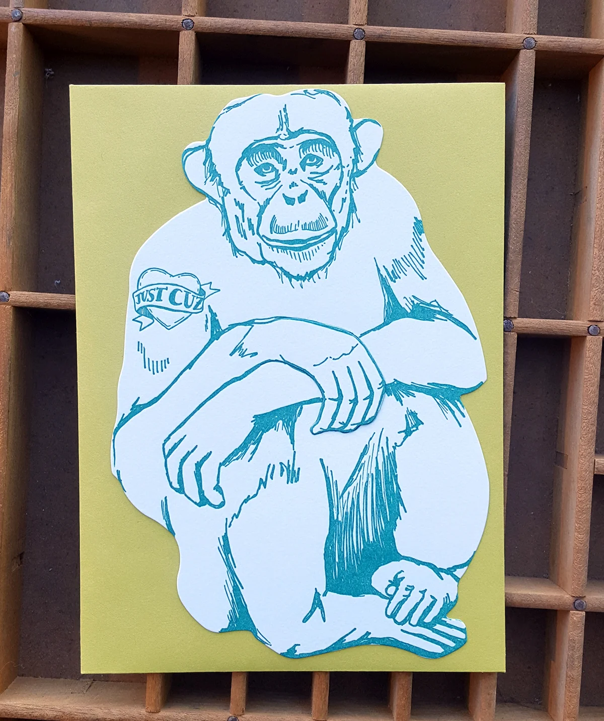 chimp 2.jpg