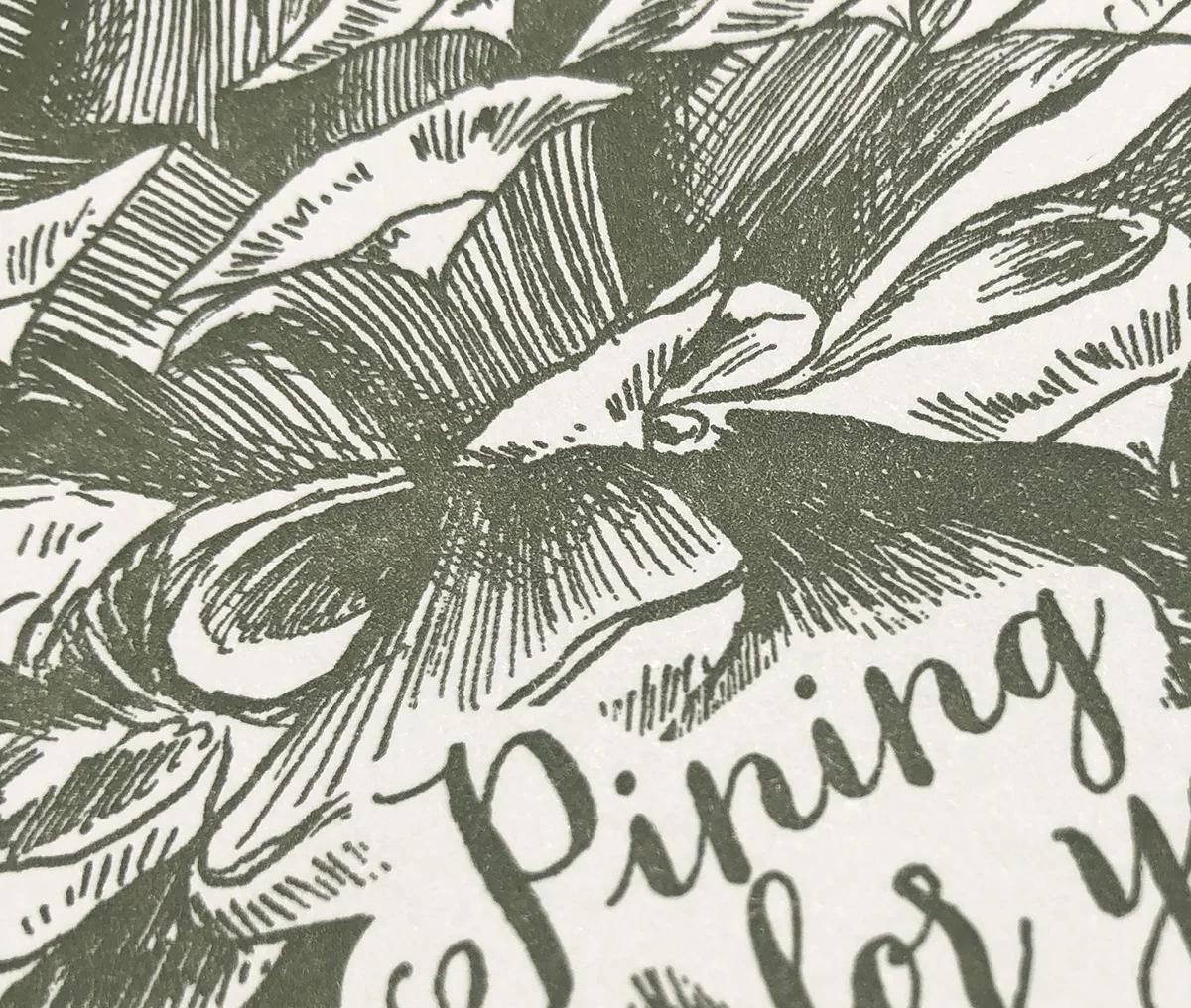 pinecone4.jpg