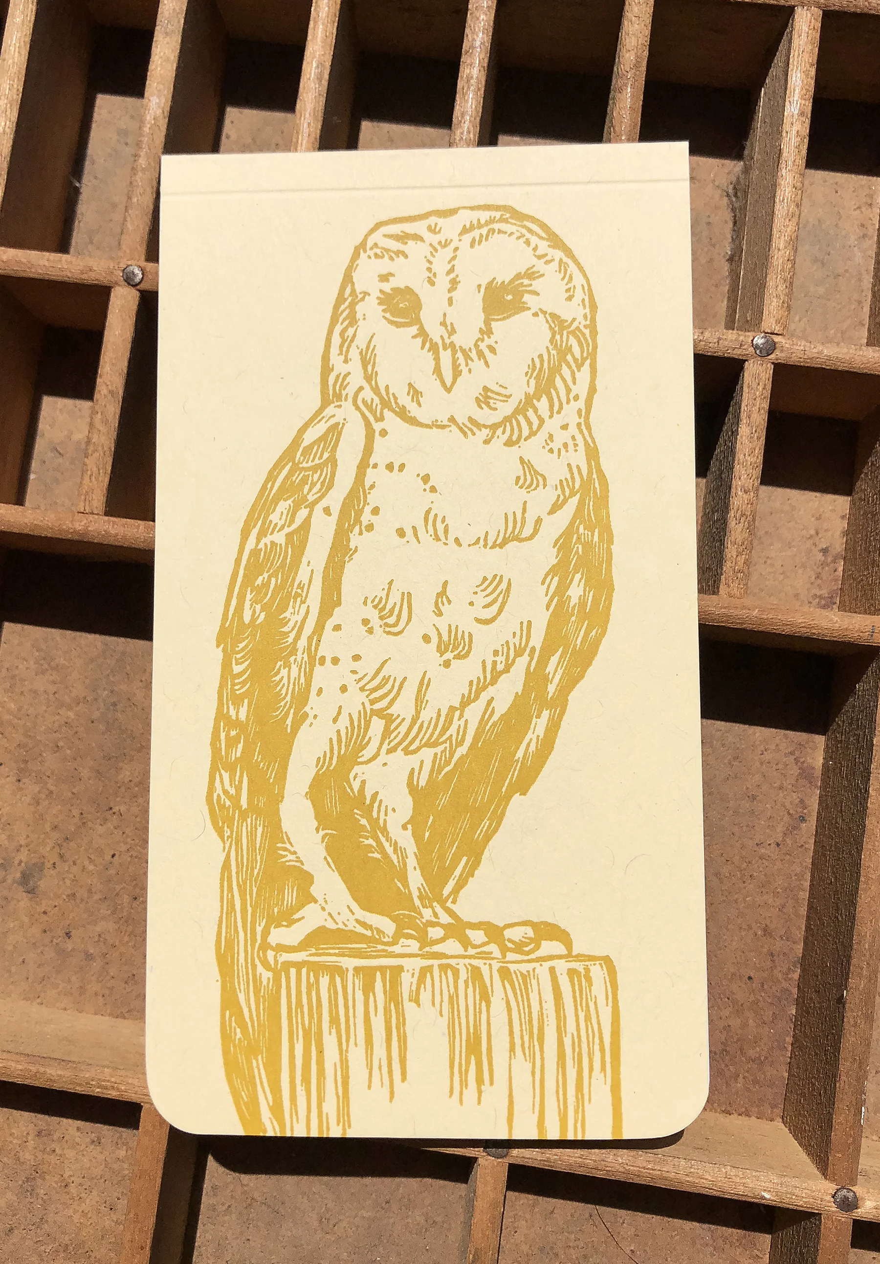 barnowl2.jpg