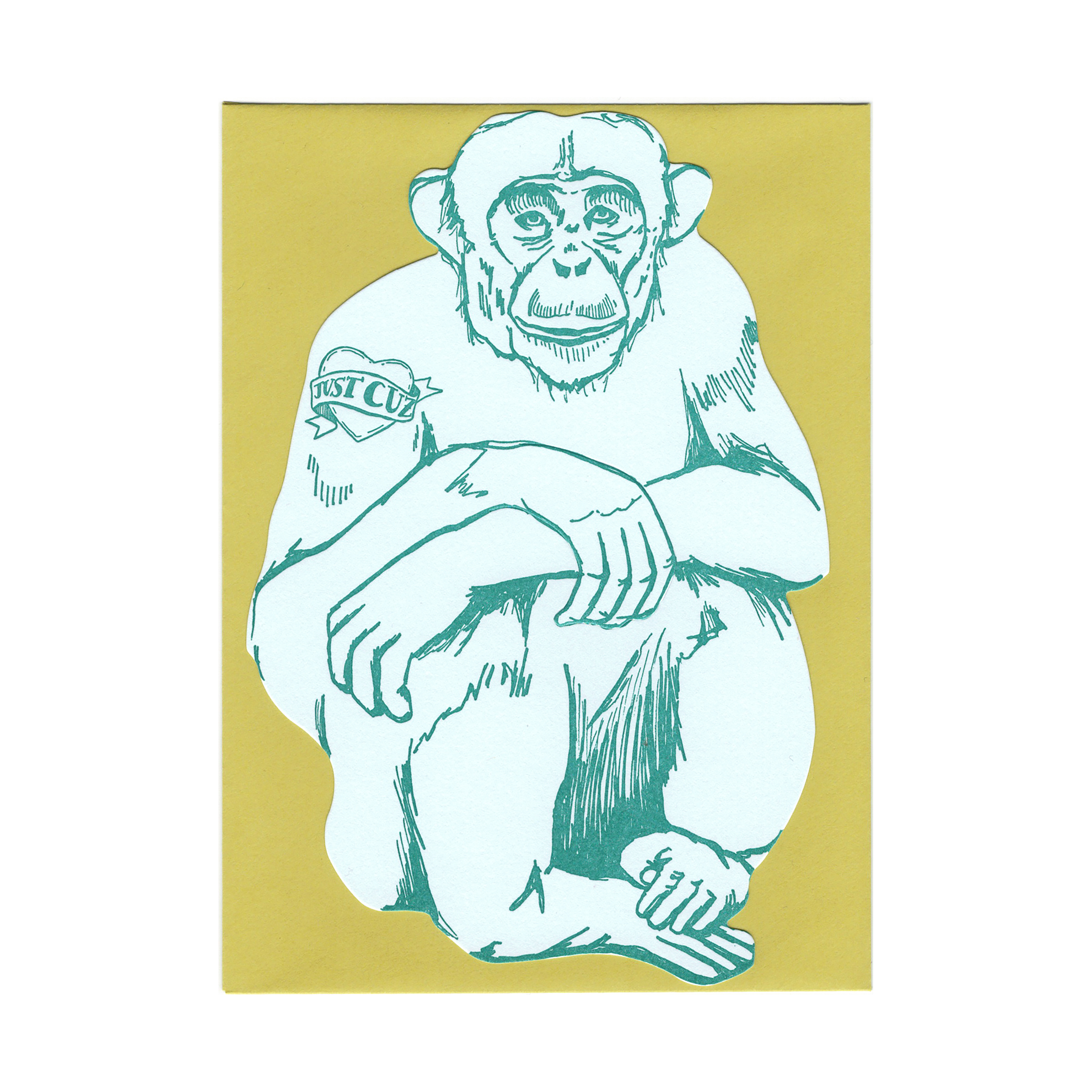 chimp scan.jpeg