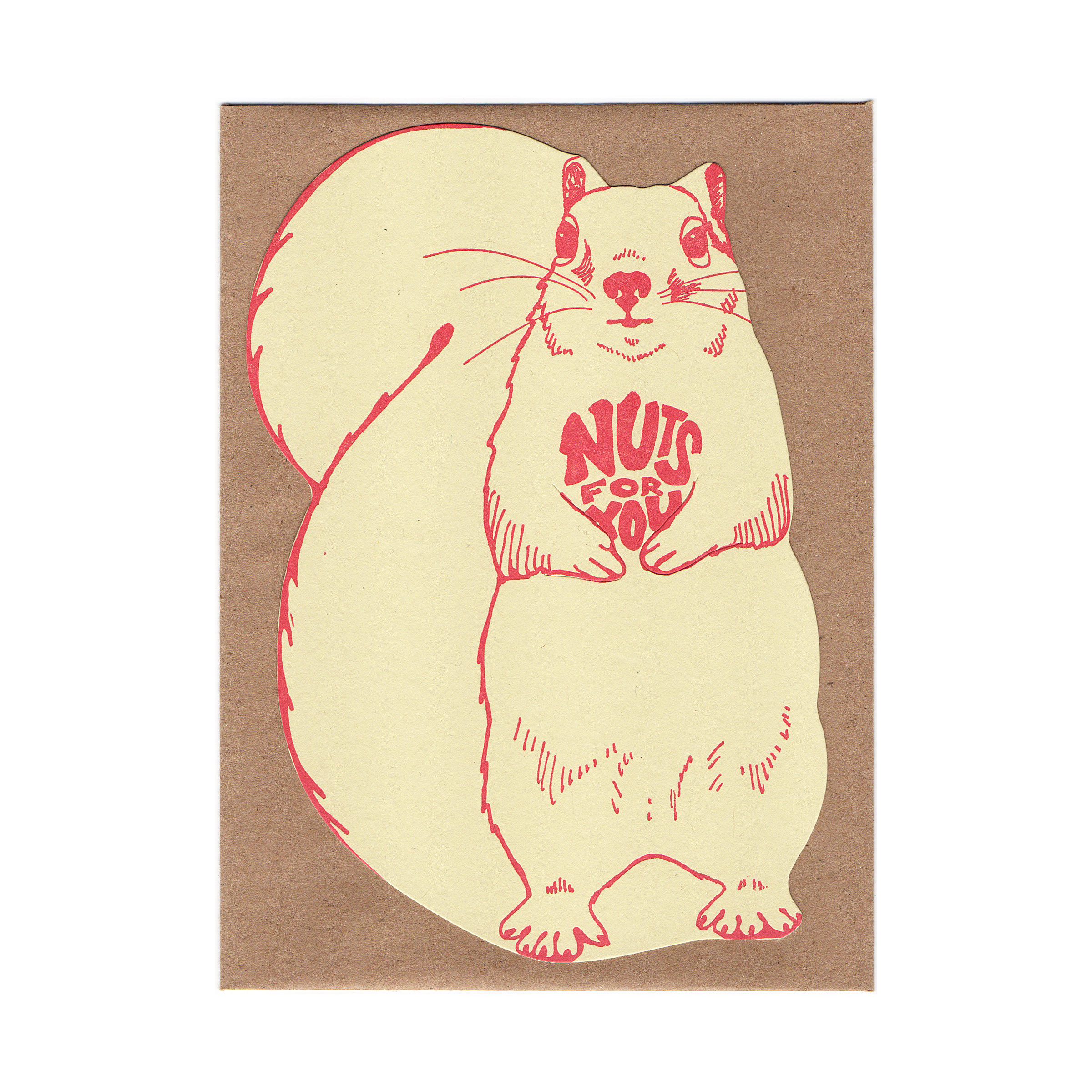 squirrel 2.jpeg