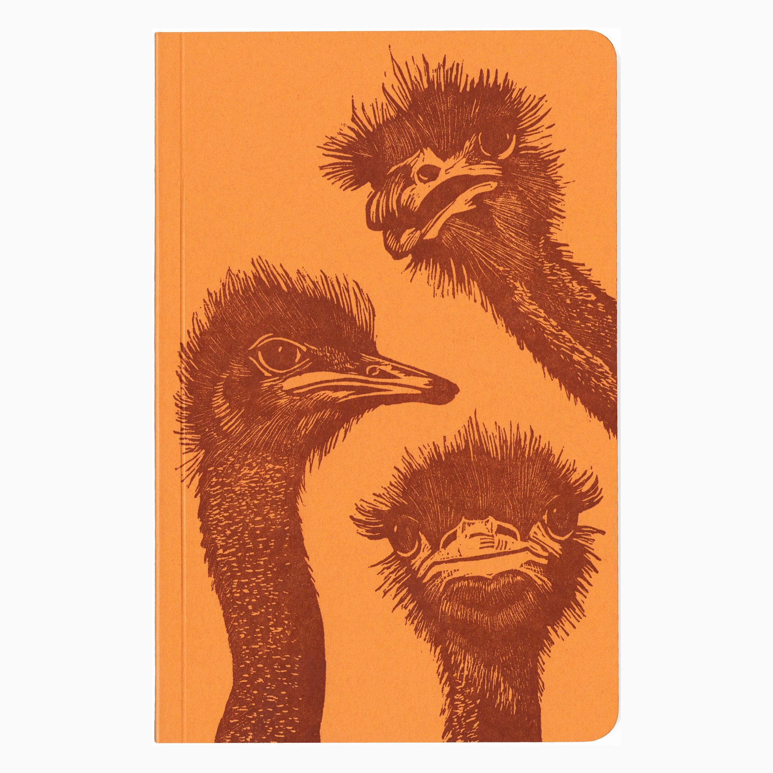 ostriches 1.jpeg