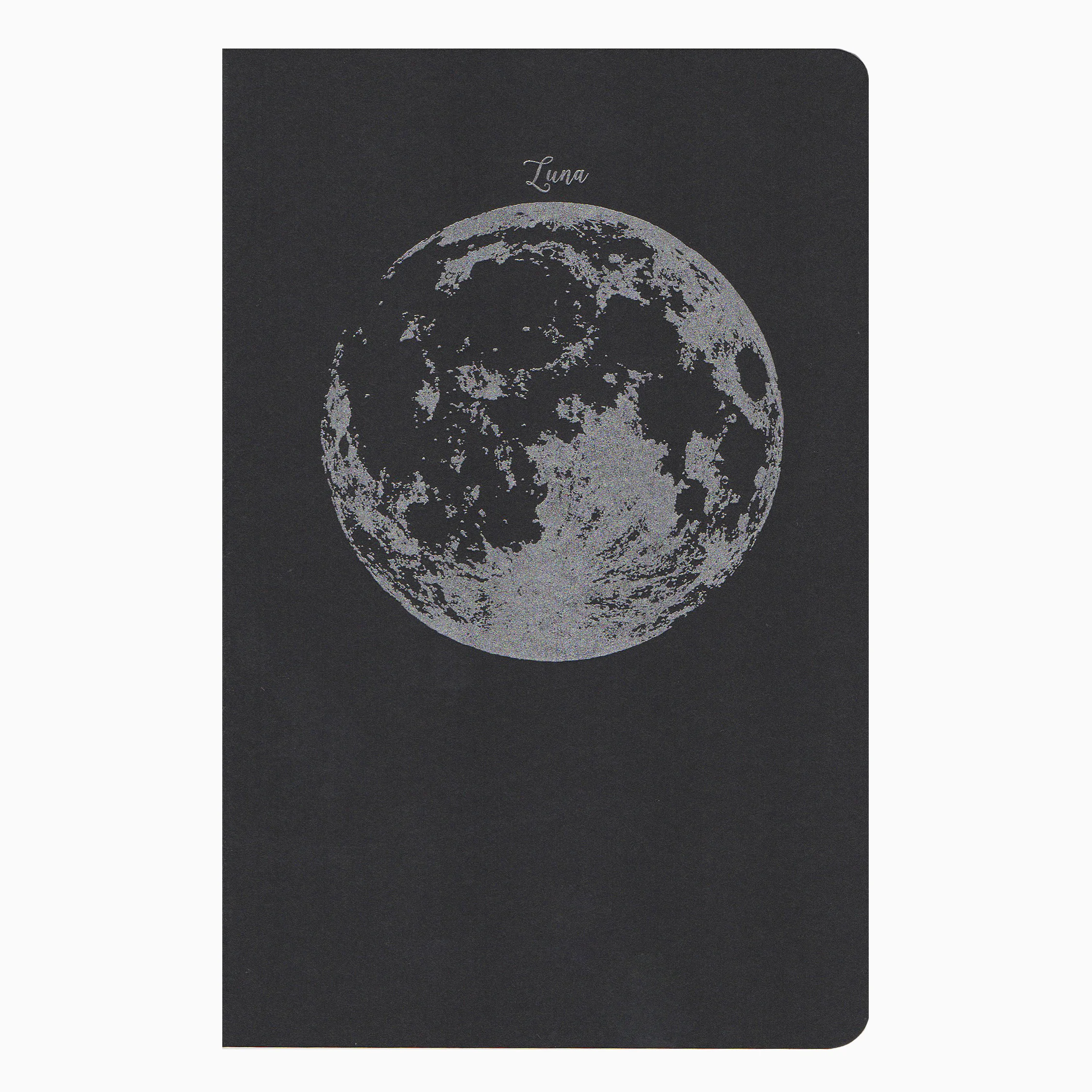 nb moon 1.jpeg