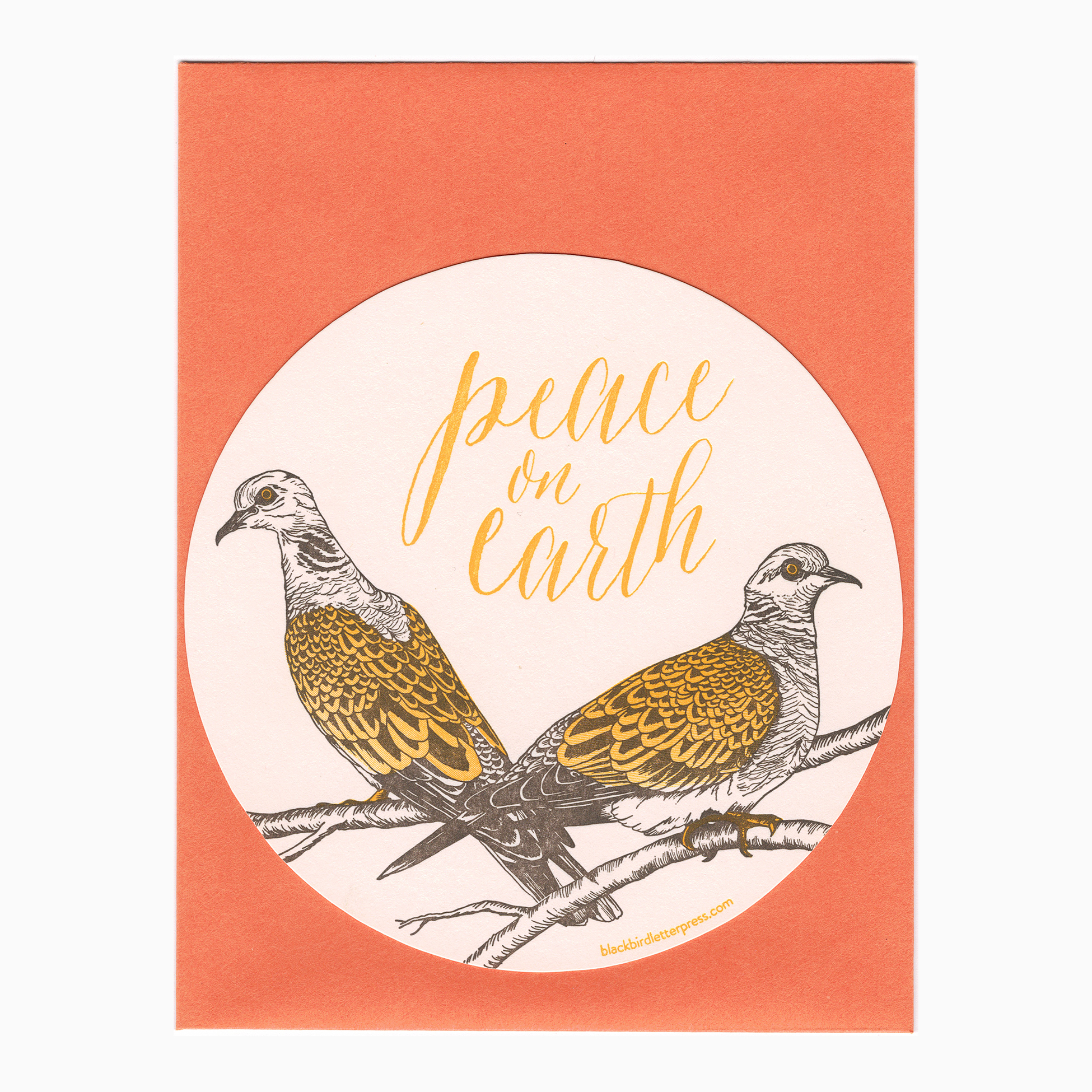 turtle doves.jpeg