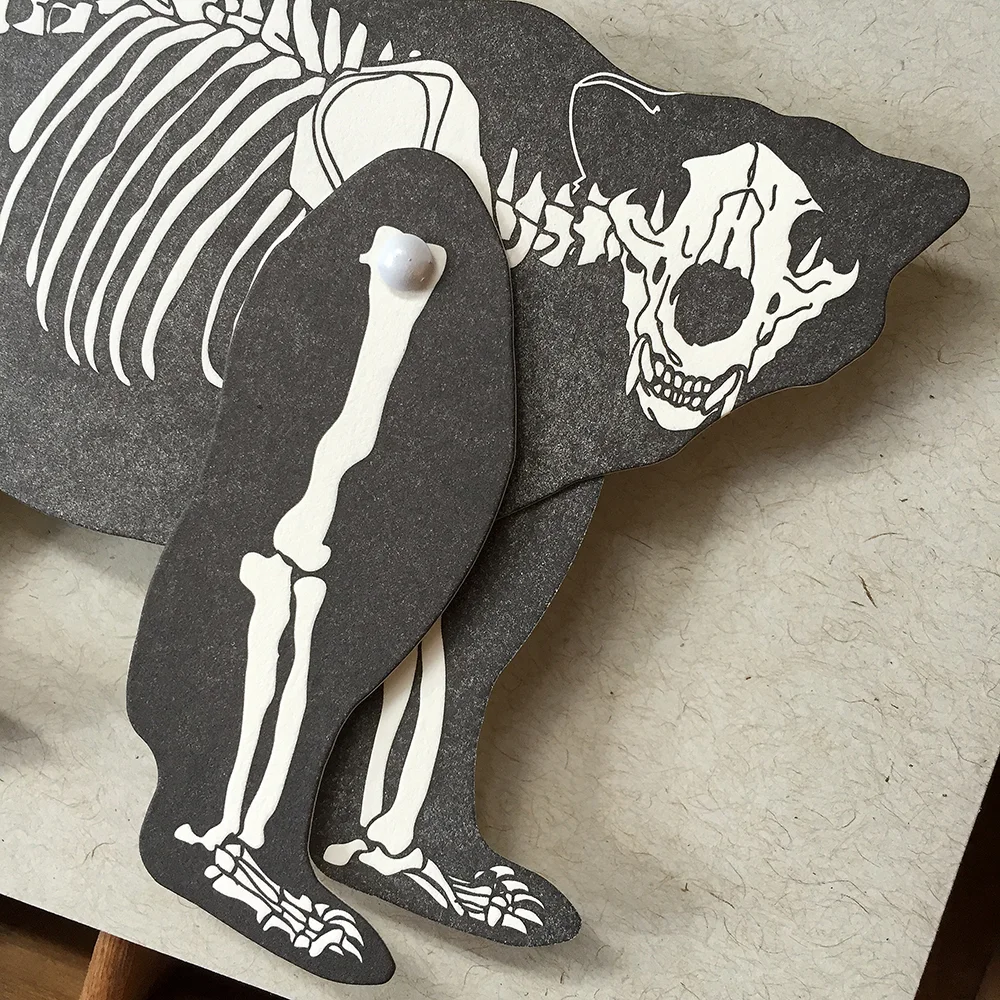 BearSkeleton2.jpg