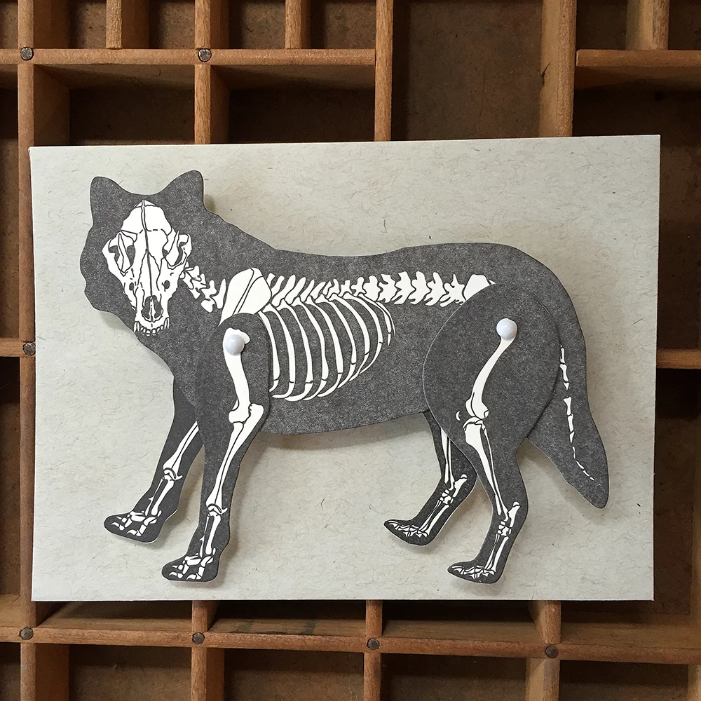 WolfSkeleton3.jpg