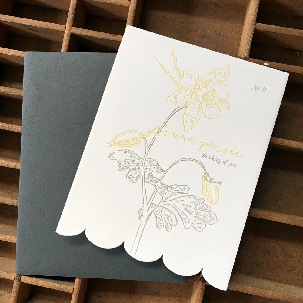 aquilegia1.jpg