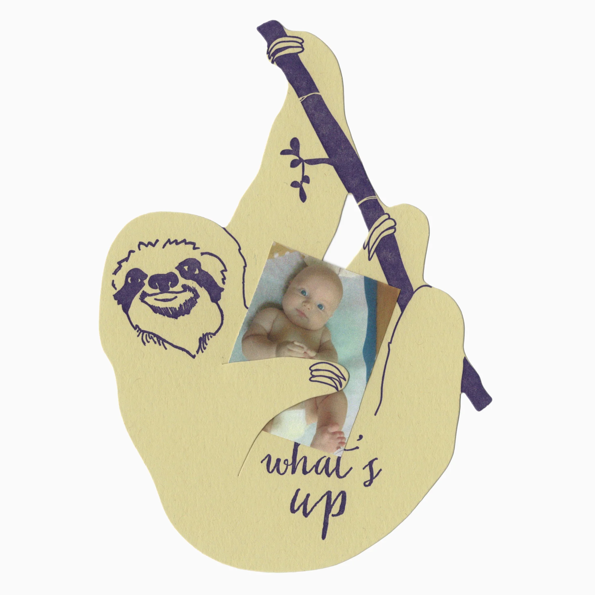 sloth holding photo no envelope.jpg