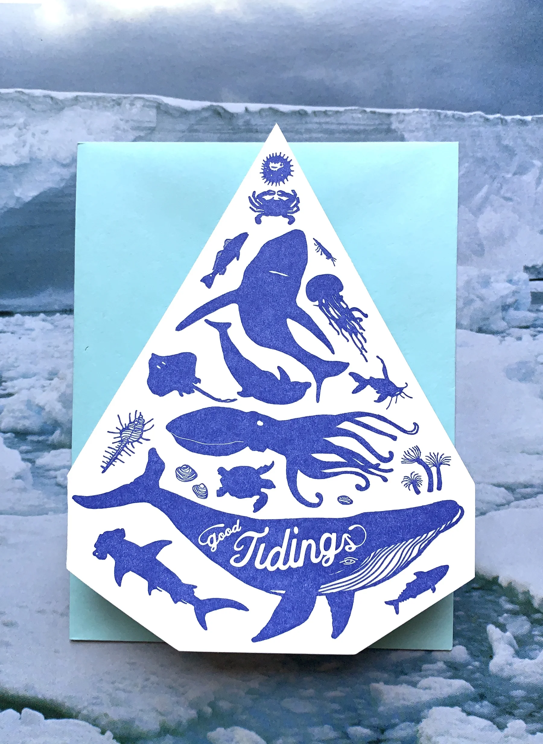 tidings4.jpg