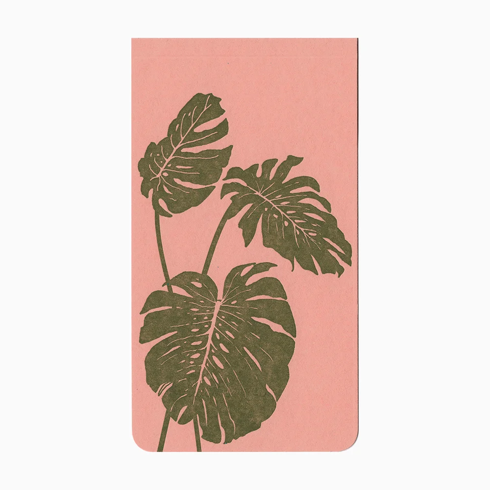 monstera nb.jpg
