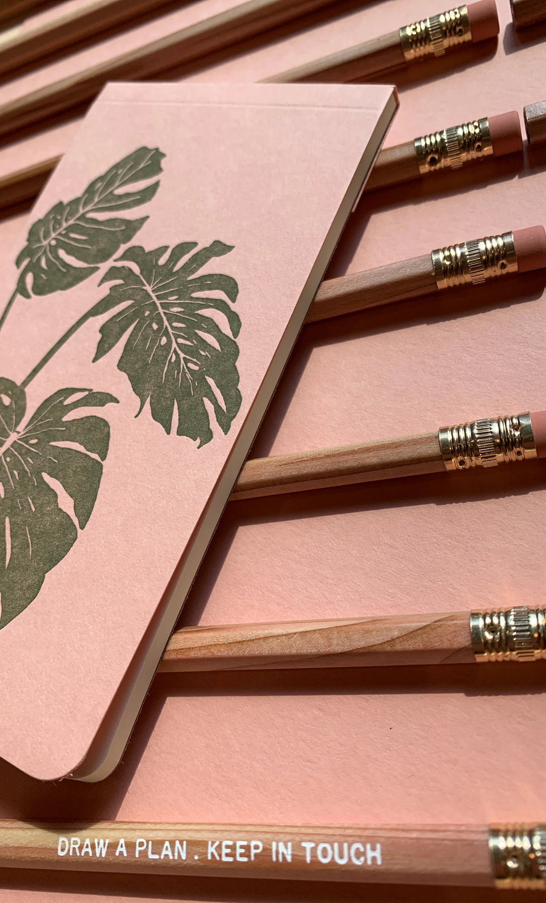 monstera3.jpg
