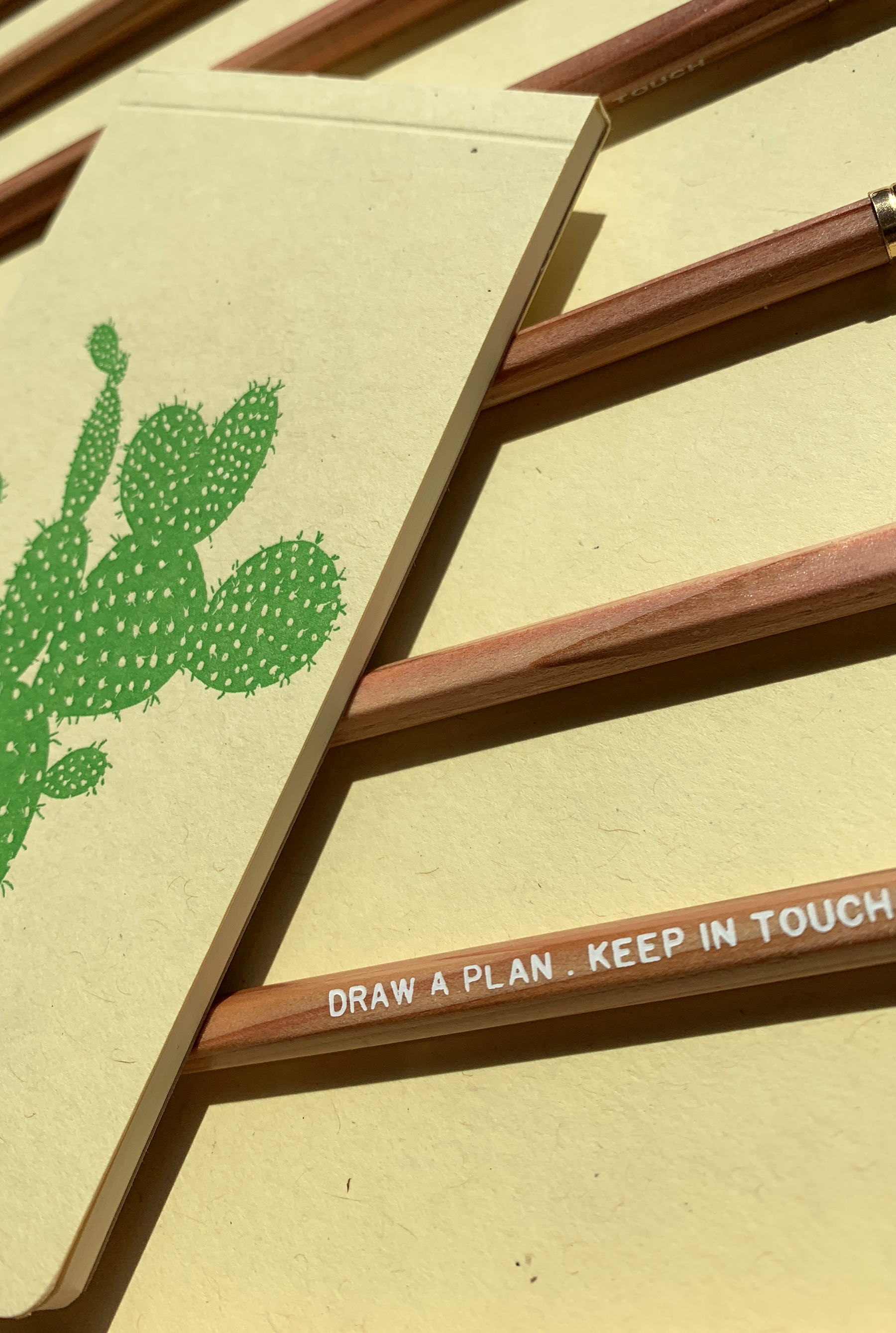 prickly pear3.jpg