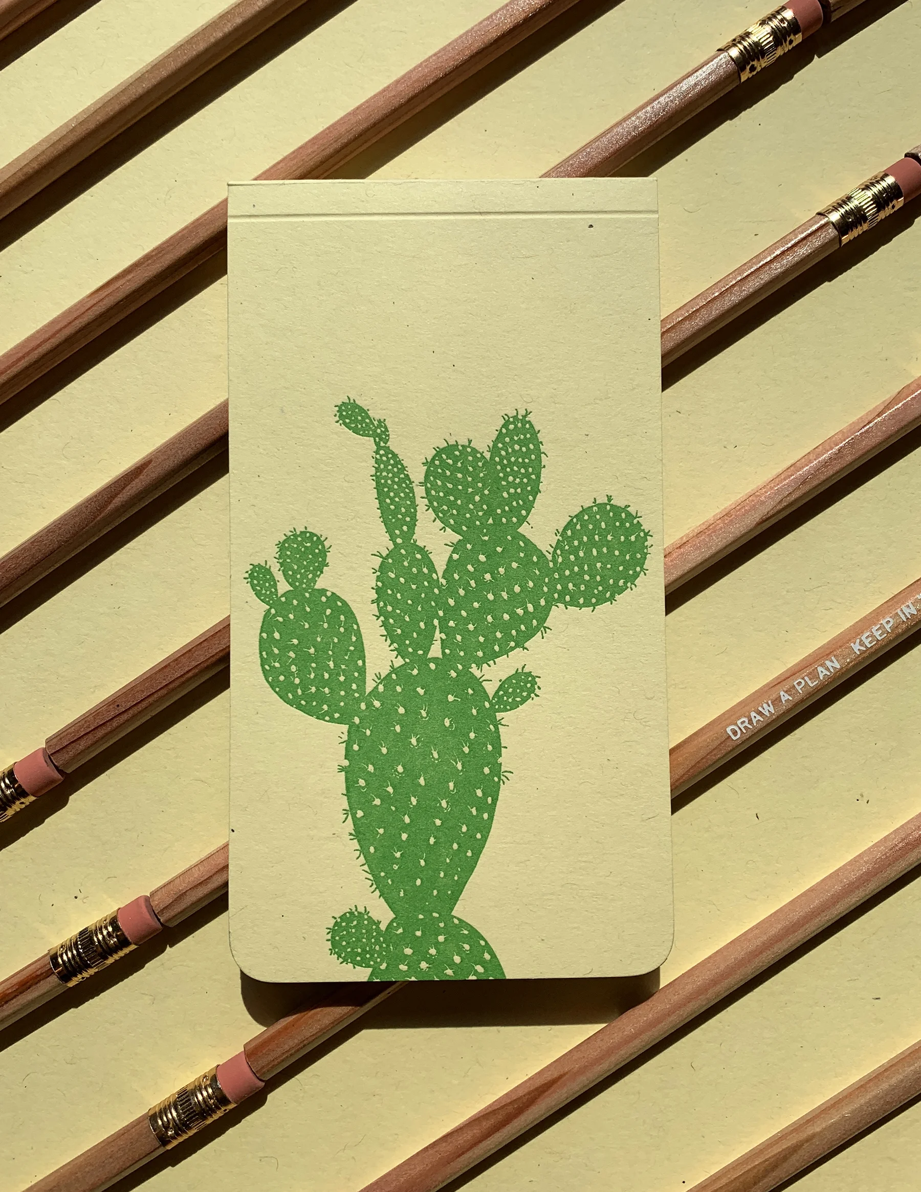 prickly pear1.jpg