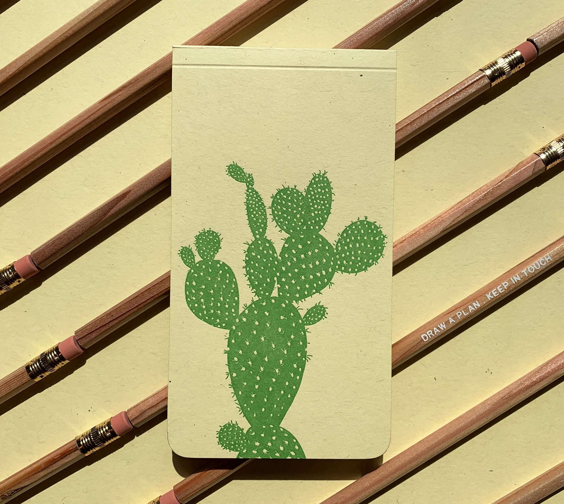 prickly pear4.jpg