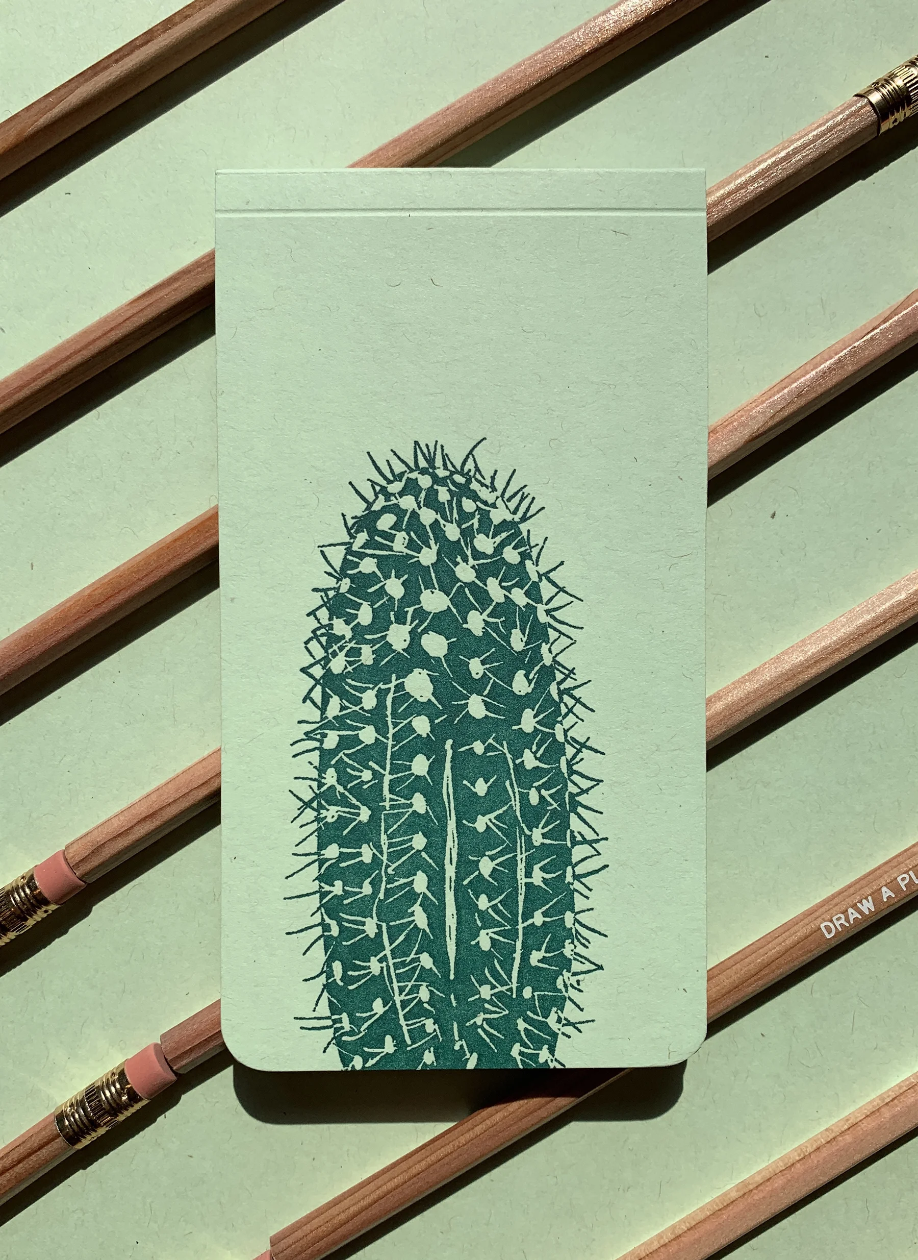 cactus1.jpg