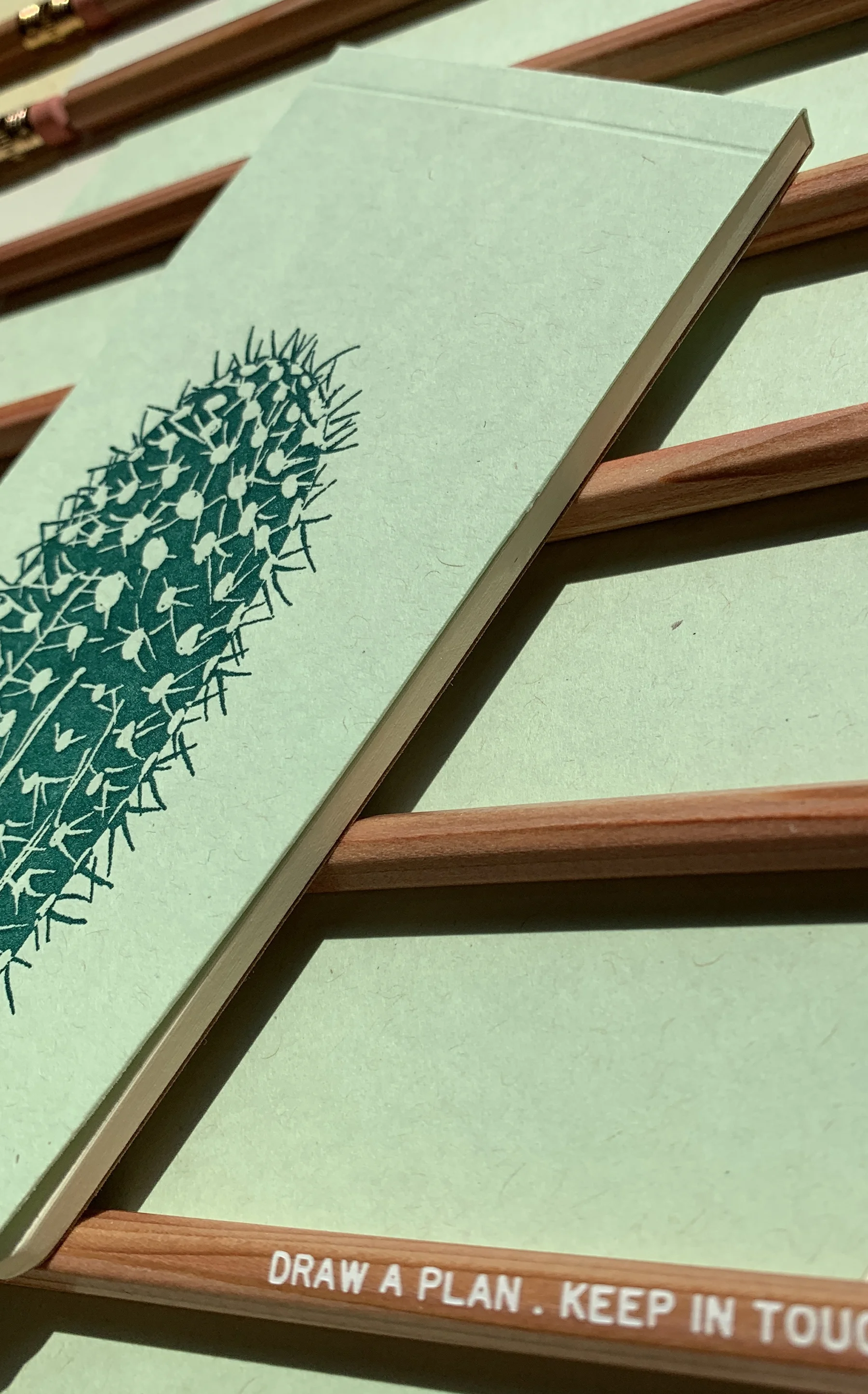 cactus3.jpg