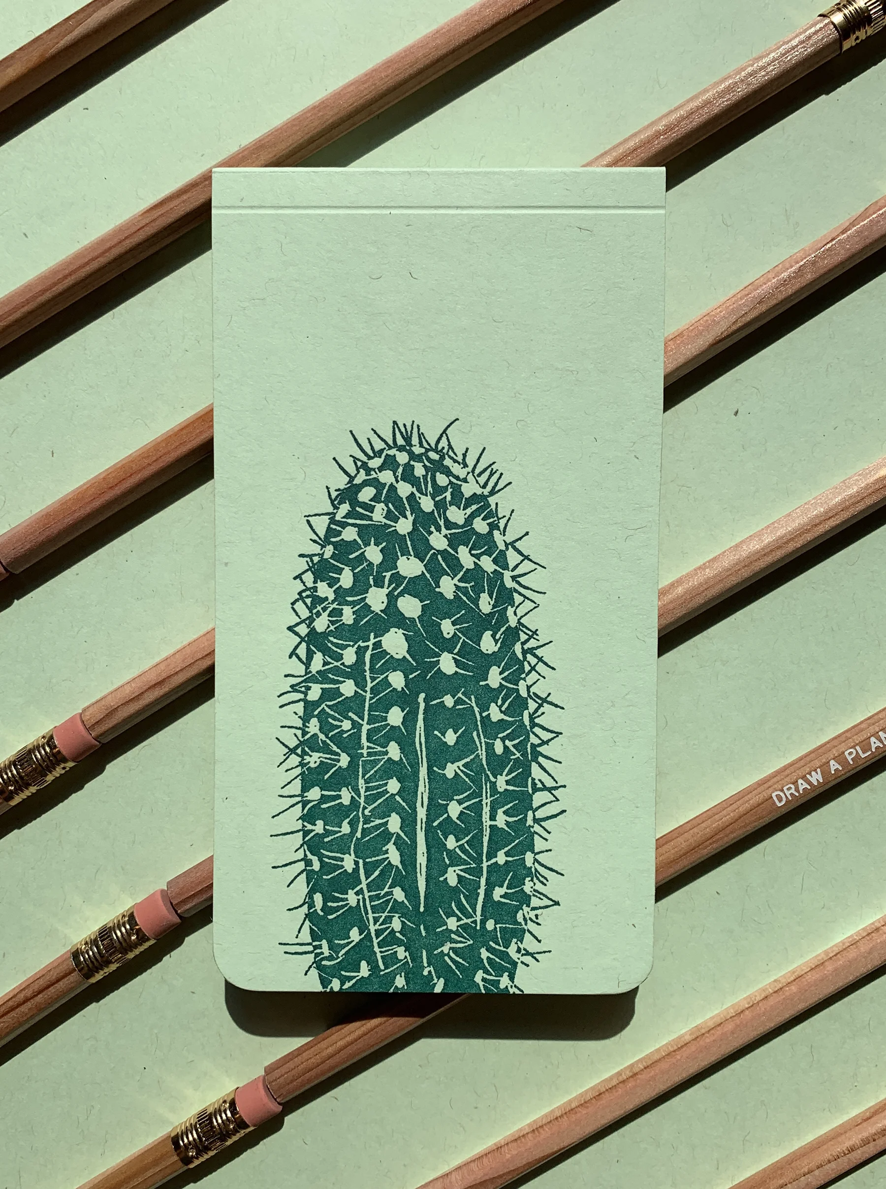 cactus5.jpg