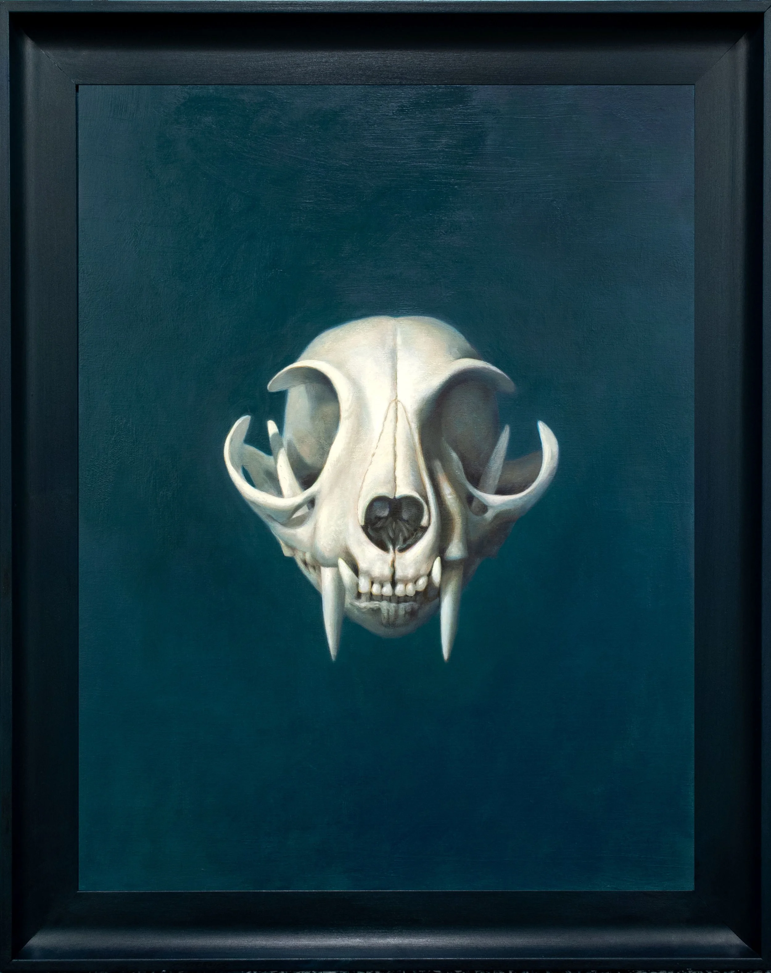   Loomis   oil on wood  28”x 22”  2026 