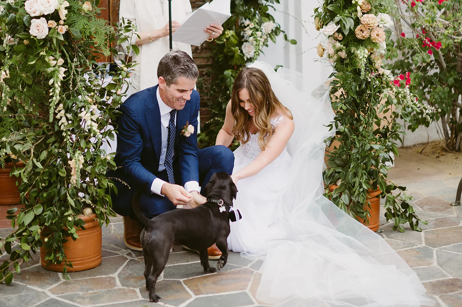 wedding dogs, dog ring bearer, blue tuxedo, Palm Springs wedding || Orange Blossom Special Events