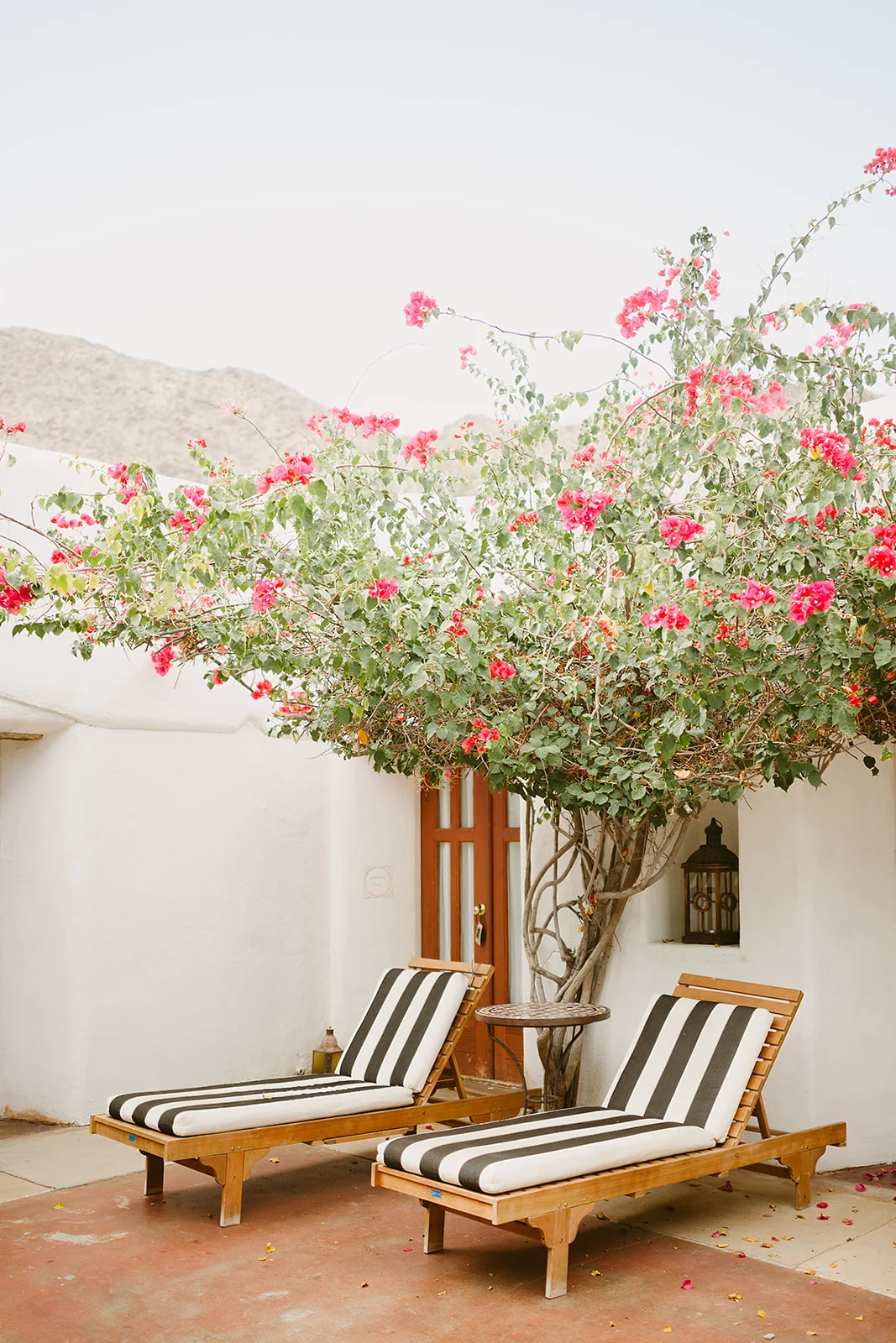 Palm Springs wedding, pool wedding, vacation wedding, dessert wedding decor, outdoor wedding || Orange Blossom Special Events
