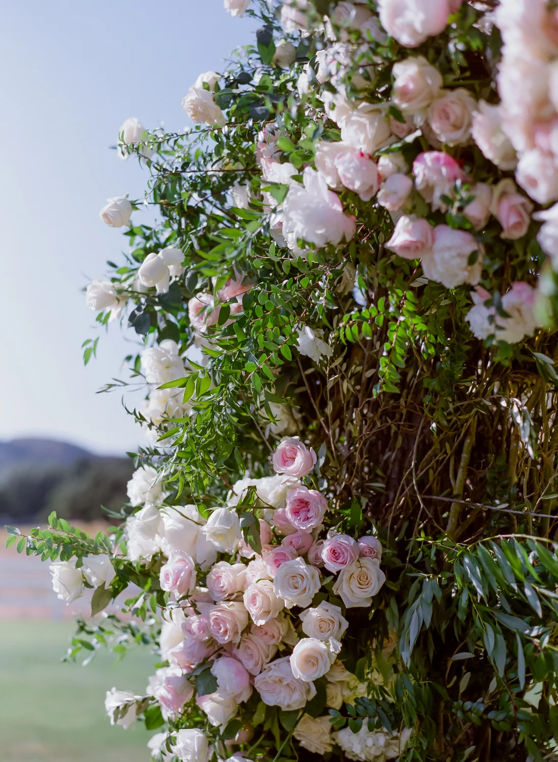 pink roses, Malibu wedding, white roses, outdoor wedding || Orange Blossom Special Events