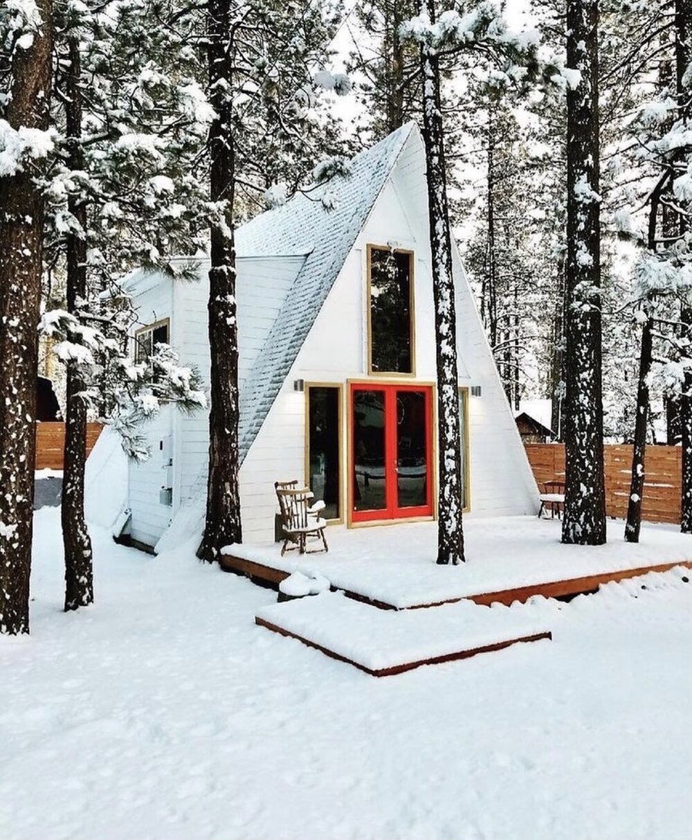 cabin in a snow