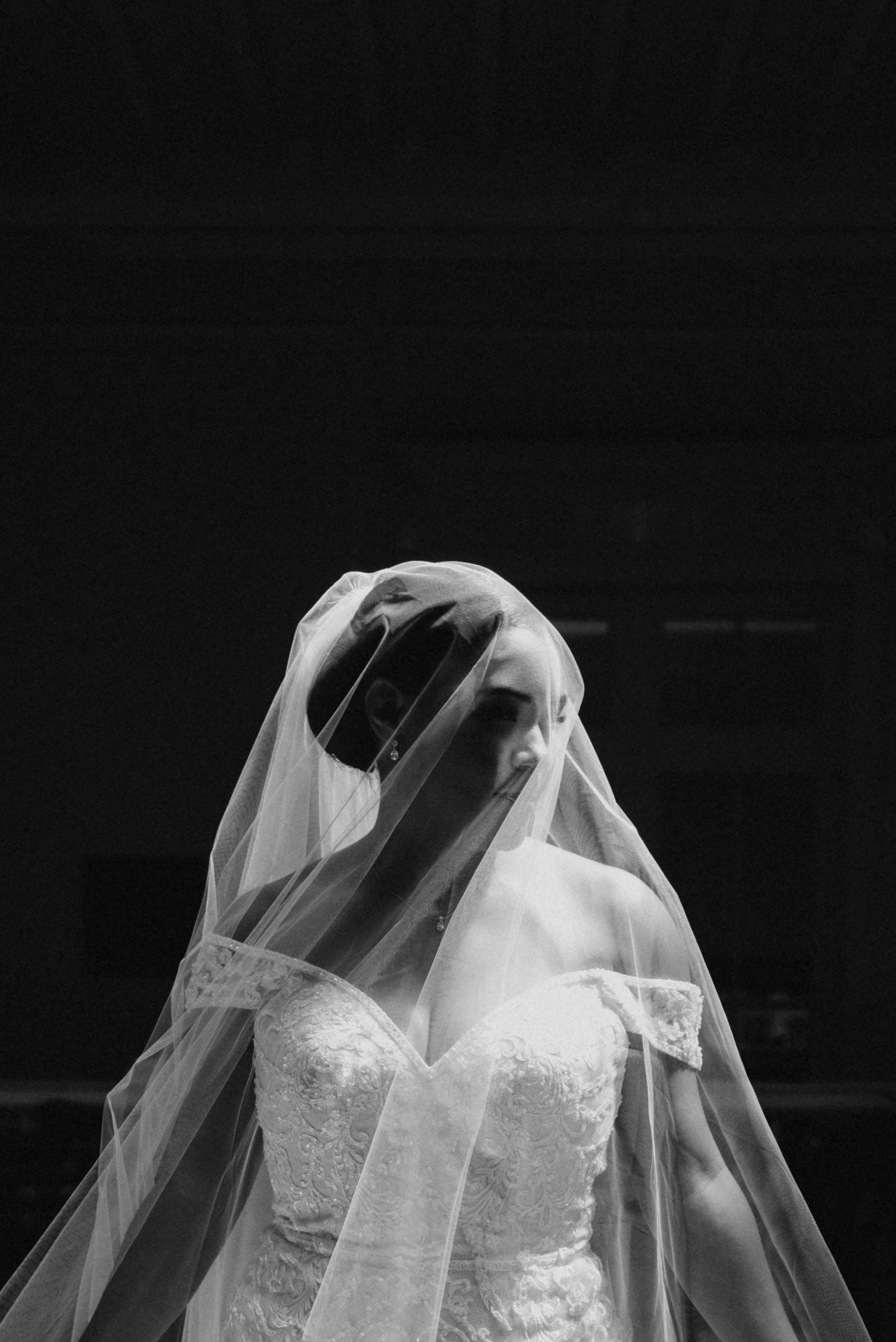 Wedding dress and veil
