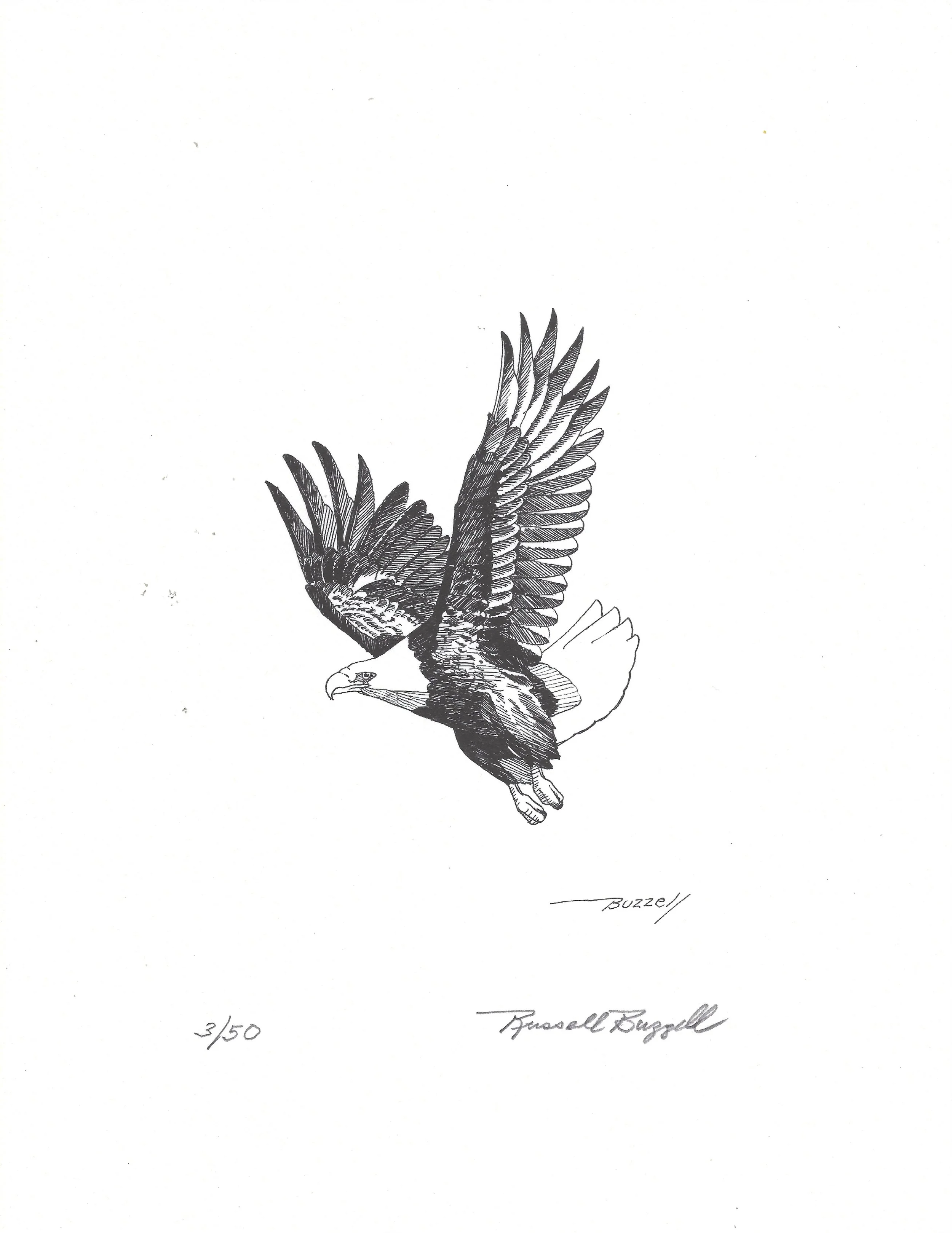 eagle.jpg