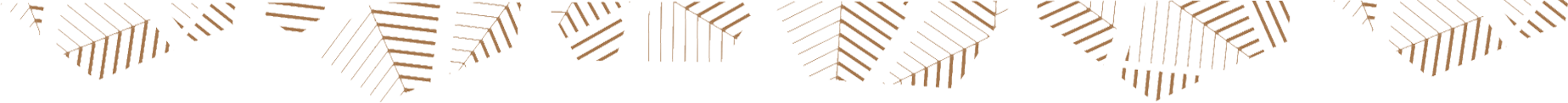 Header.png